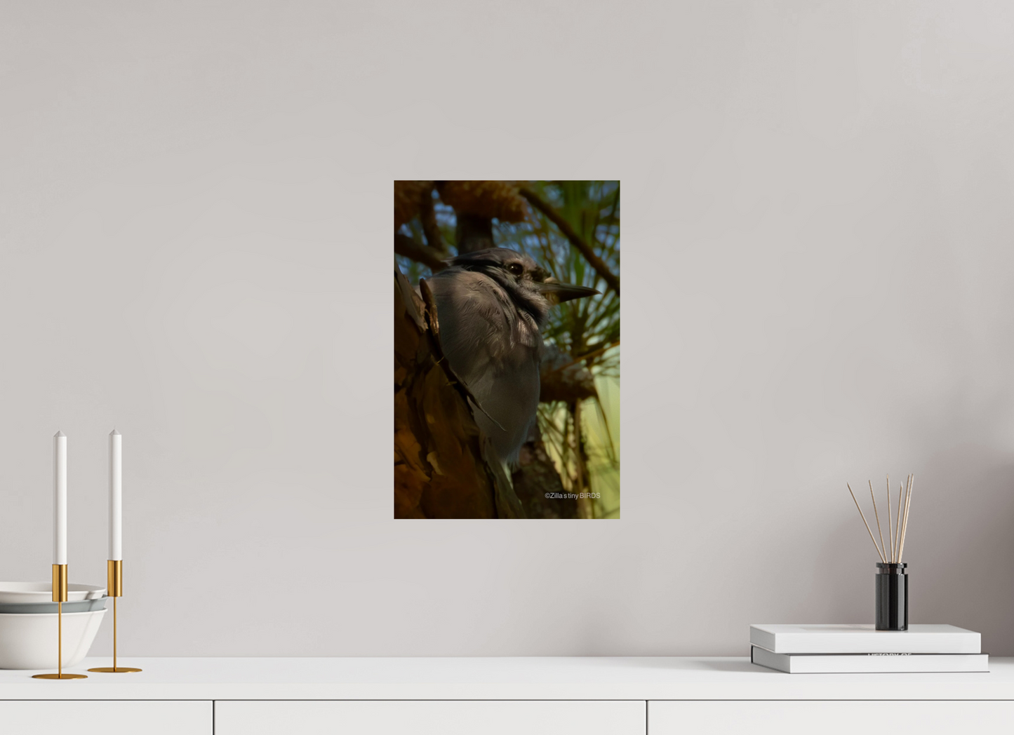10 x 15″, Photo Print On Fuji Crystal DP II Zillas Zoom Image 401