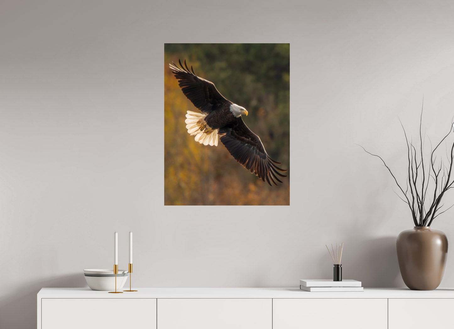 24 x 31.1″, Photo Print Under Acrylic Glass Zillas Zoom Image 495