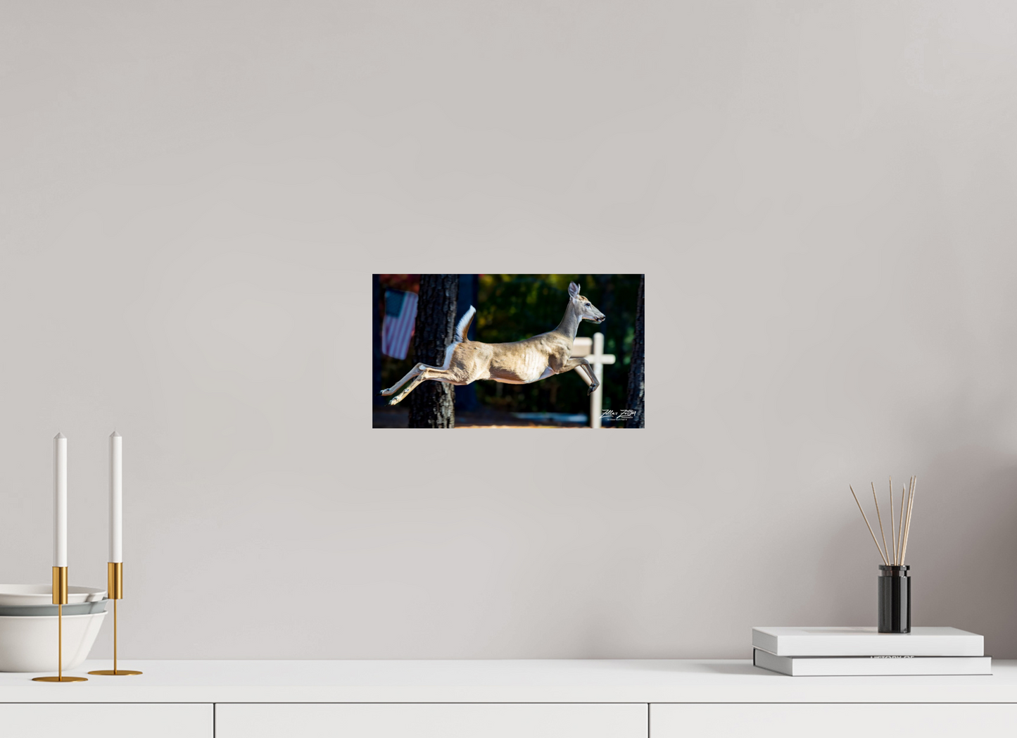 12 x 6.8″, Photo Print On Fuji Crystal DP II Zillas zoom image 141