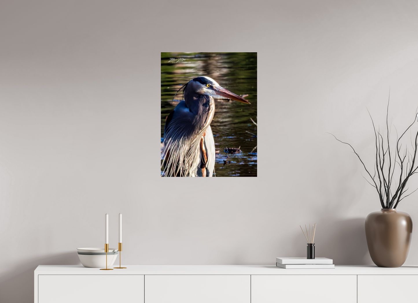 20 x 25.9″, Photo Print Under Acrylic Glass Zillas Zoom Image 409