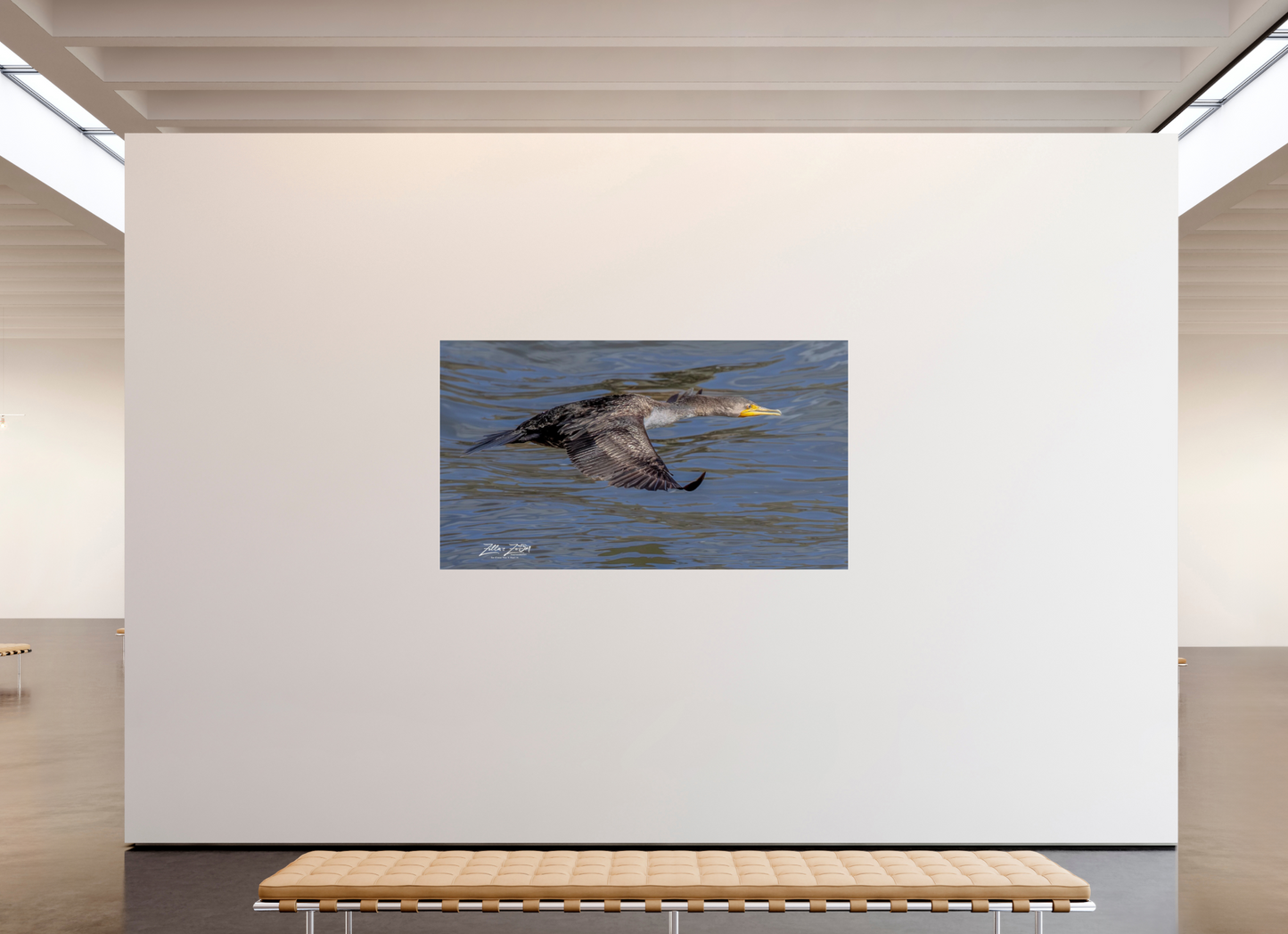80 x 45″, Photo Print Under Acrylic Glass Zillas Zoom Image 291