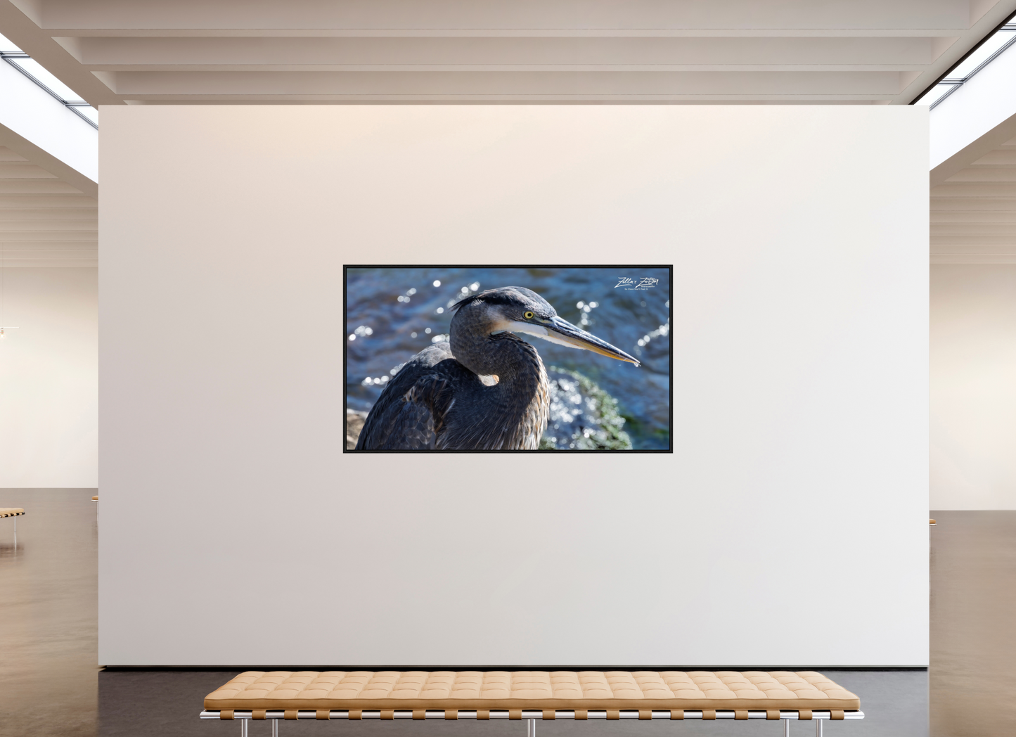 80 x 45″, Floater Frame Zillas Zoom Image 343