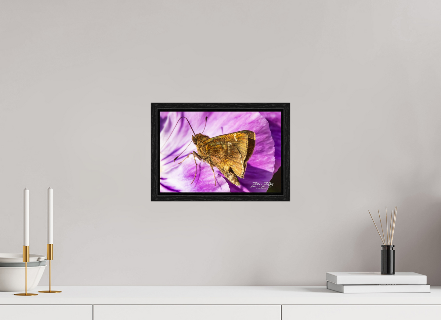 12 x 8″, Floater Frame Zillas Zoom Image 62