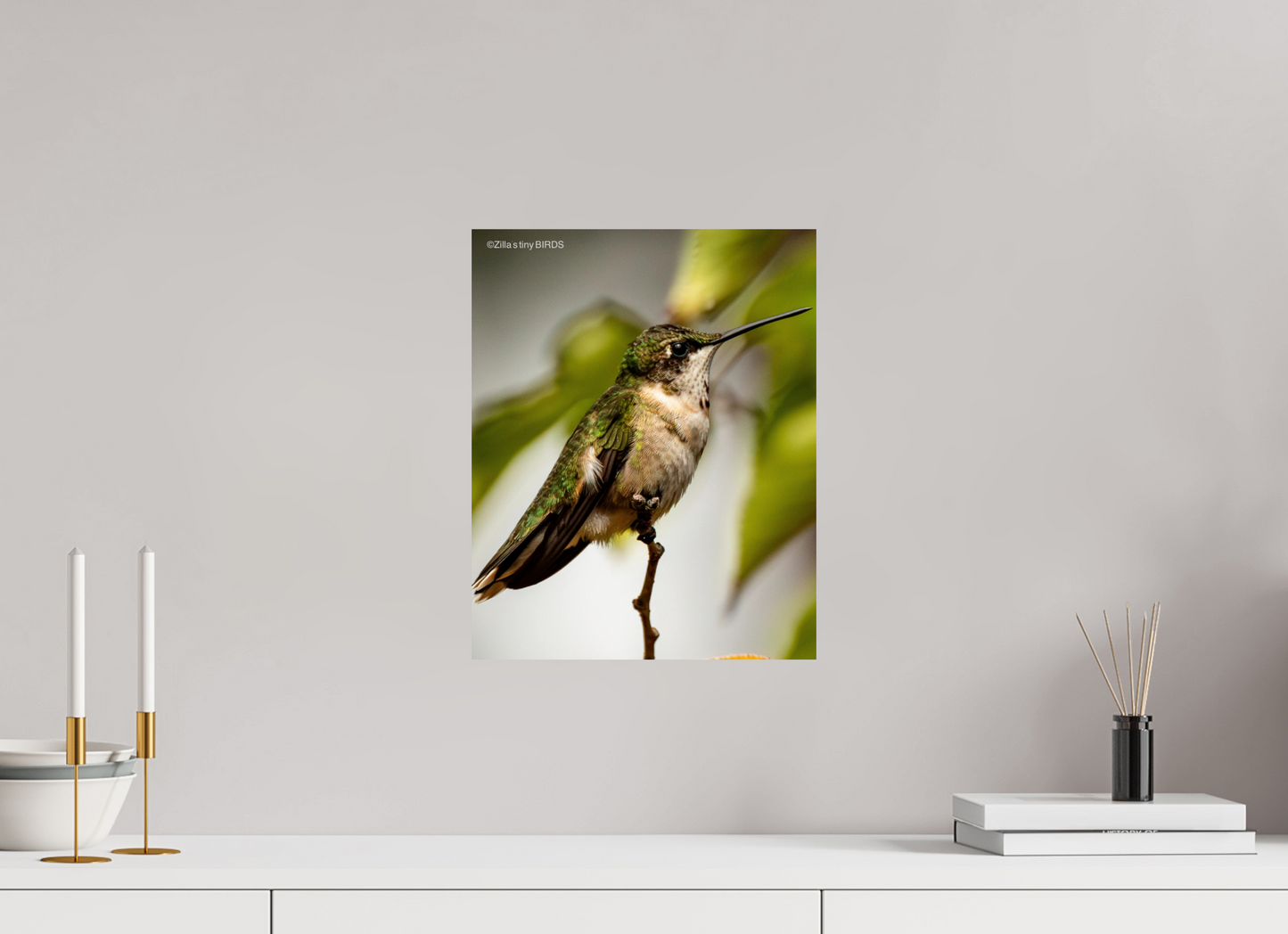 12 x 15″, Photo Print On Fuji Crystal DP II Zillas Zoom Image 472