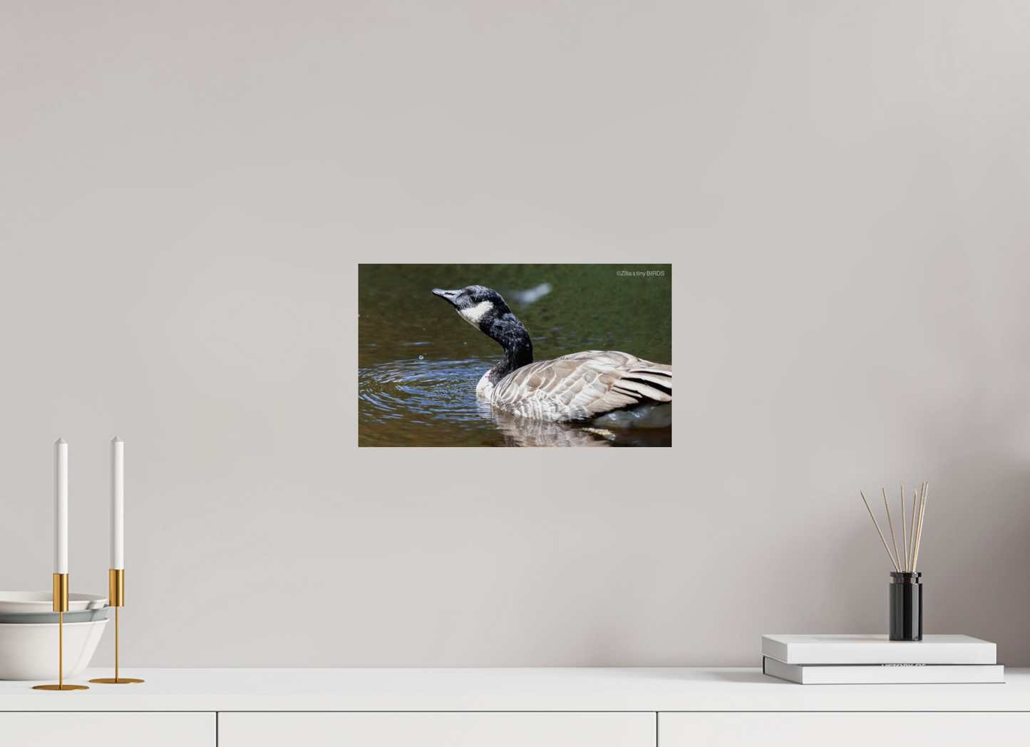 13.7 x 8″, Photo Print On Fuji Crystal DP II Zillas Zoom Image 315