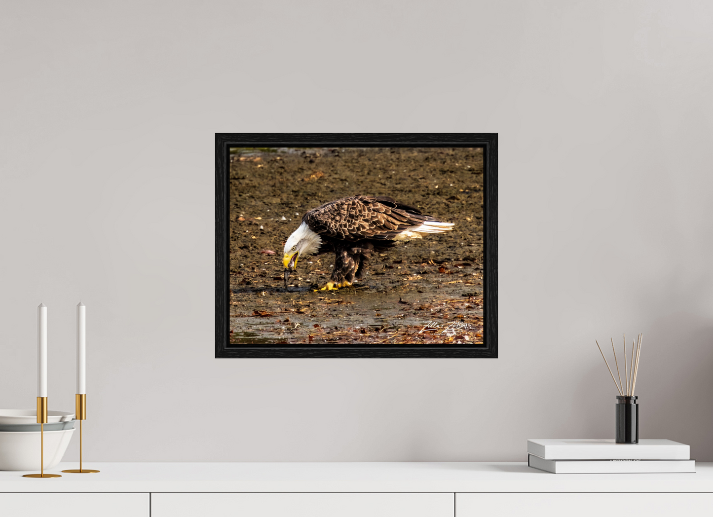 15.5 x 12″, Floater Frame Zillas Zoom Image 306