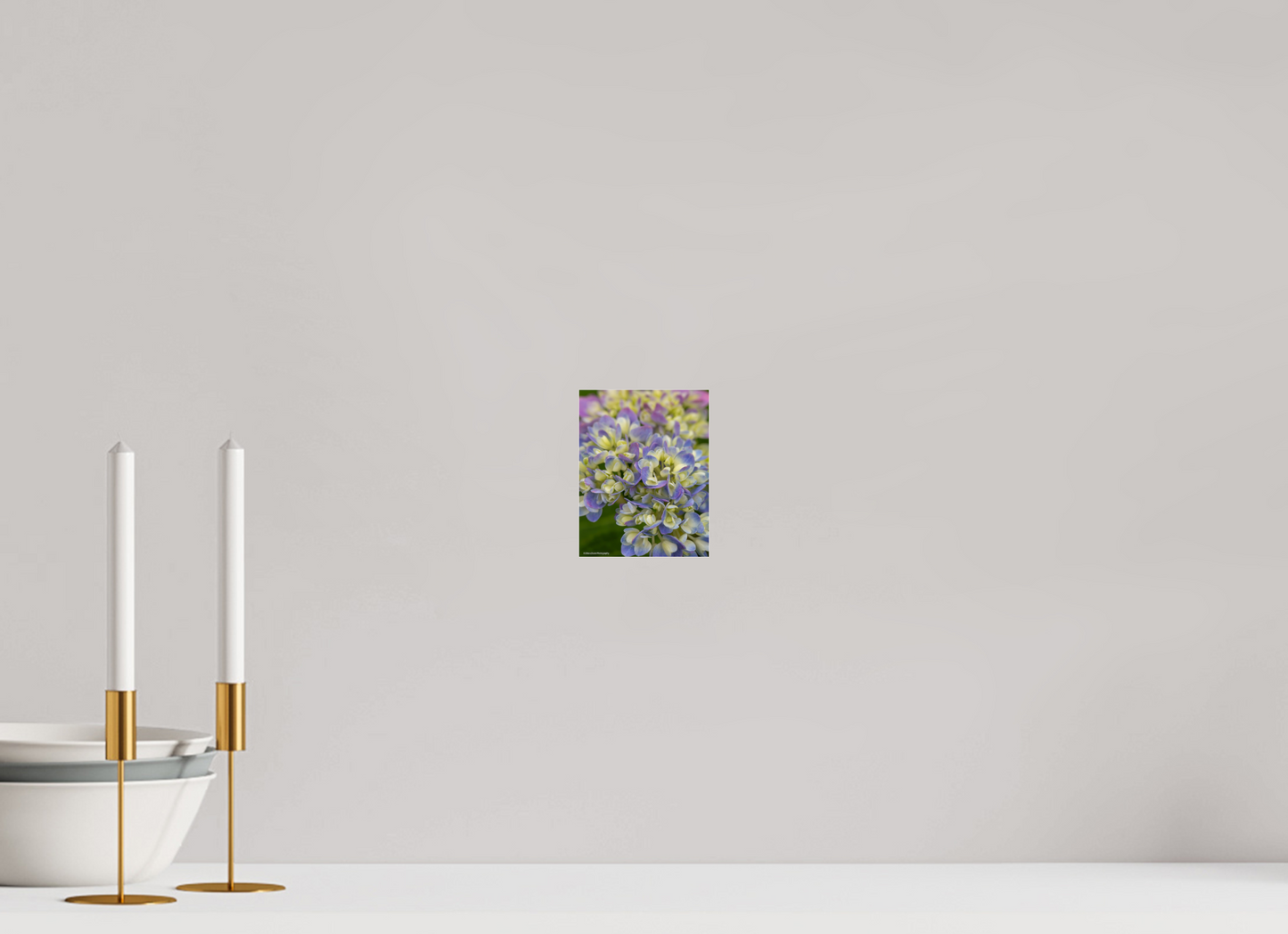 4 x 5.2″, Photo Print Under Acrylic Glass Zillas Zoom Image 113