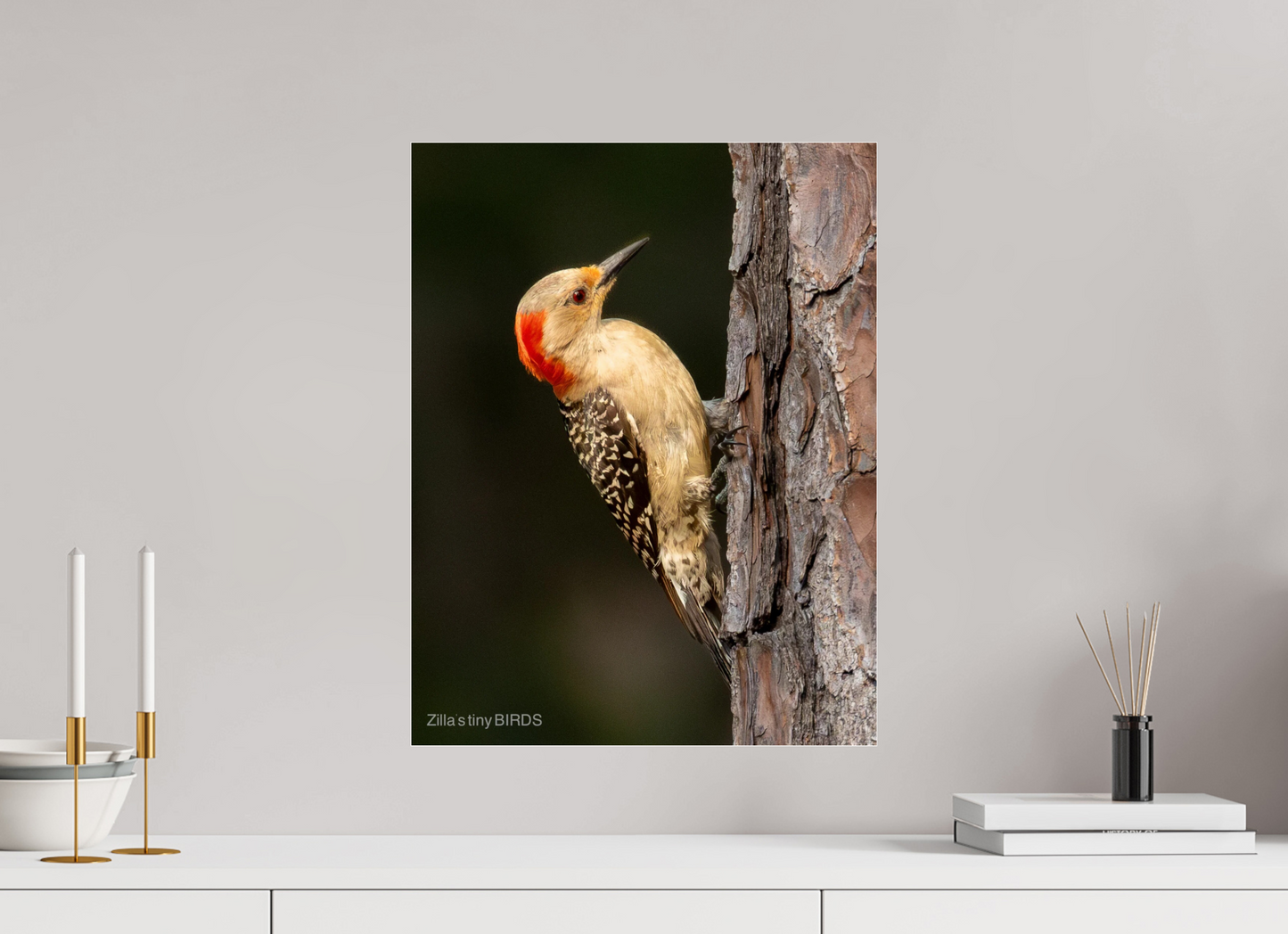16 x 20.7″, Photo Print Under Acrylic Glass Zillas Zoom Image 514
