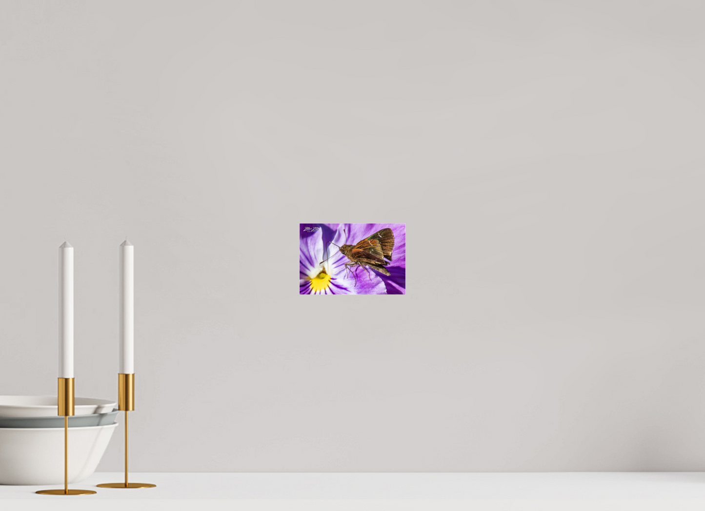 6 x 4″, Photo Print Under Acrylic Glass Zillas Zoom Image 59