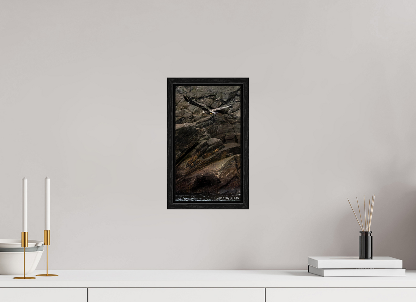 6.8 x 12″, Floater Frame Zillas Zoom Image 244