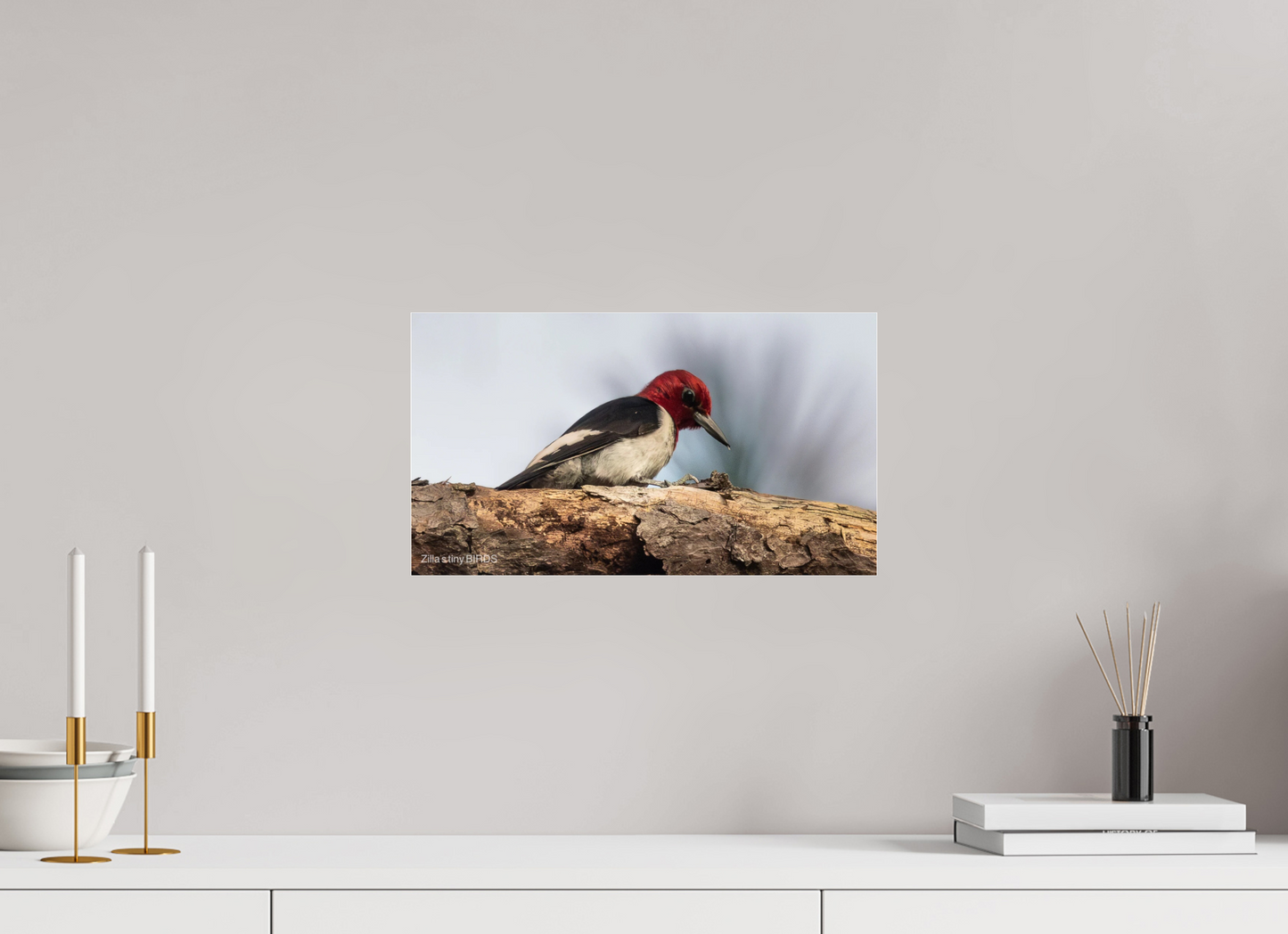 16 x 9″, Photo Print Under Acrylic Glass Zillas Zoom Image 391