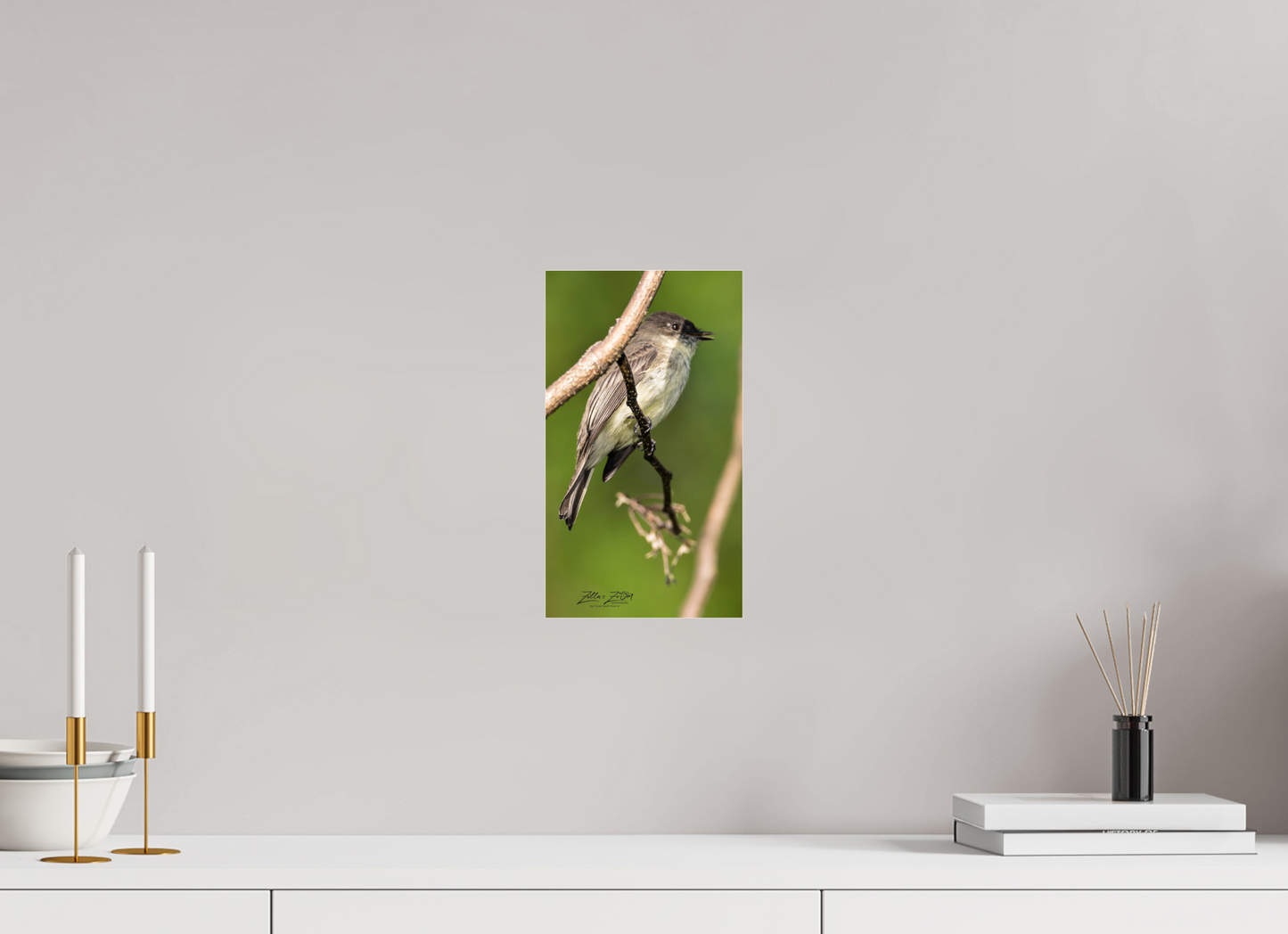 6.8 x 12″, Photo Print Under Acrylic Glass Zillas Zoom Image 423