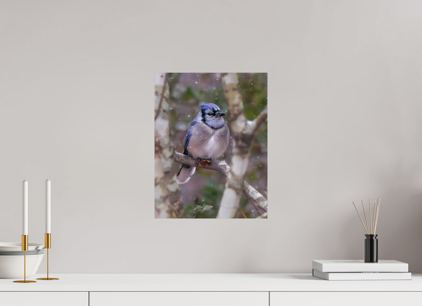 12 x 15.5″, Photo Print On Fuji Crystal DP II Zillas Zoom Image 438