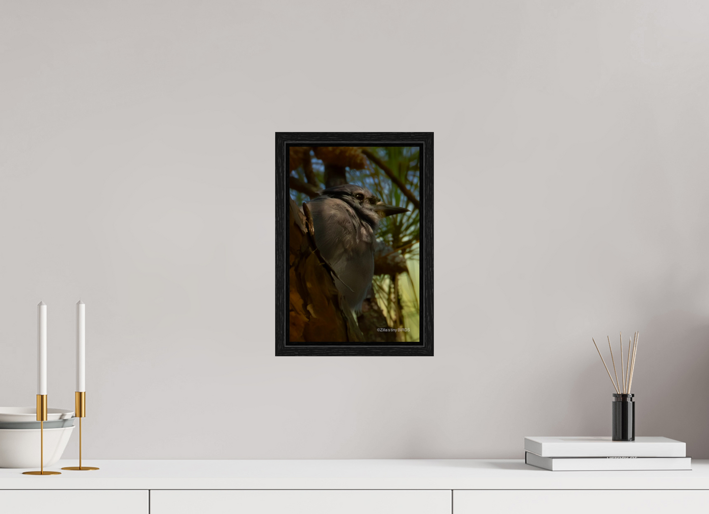 8 x 12″, Floater Frame Zillas Zoom Image 401