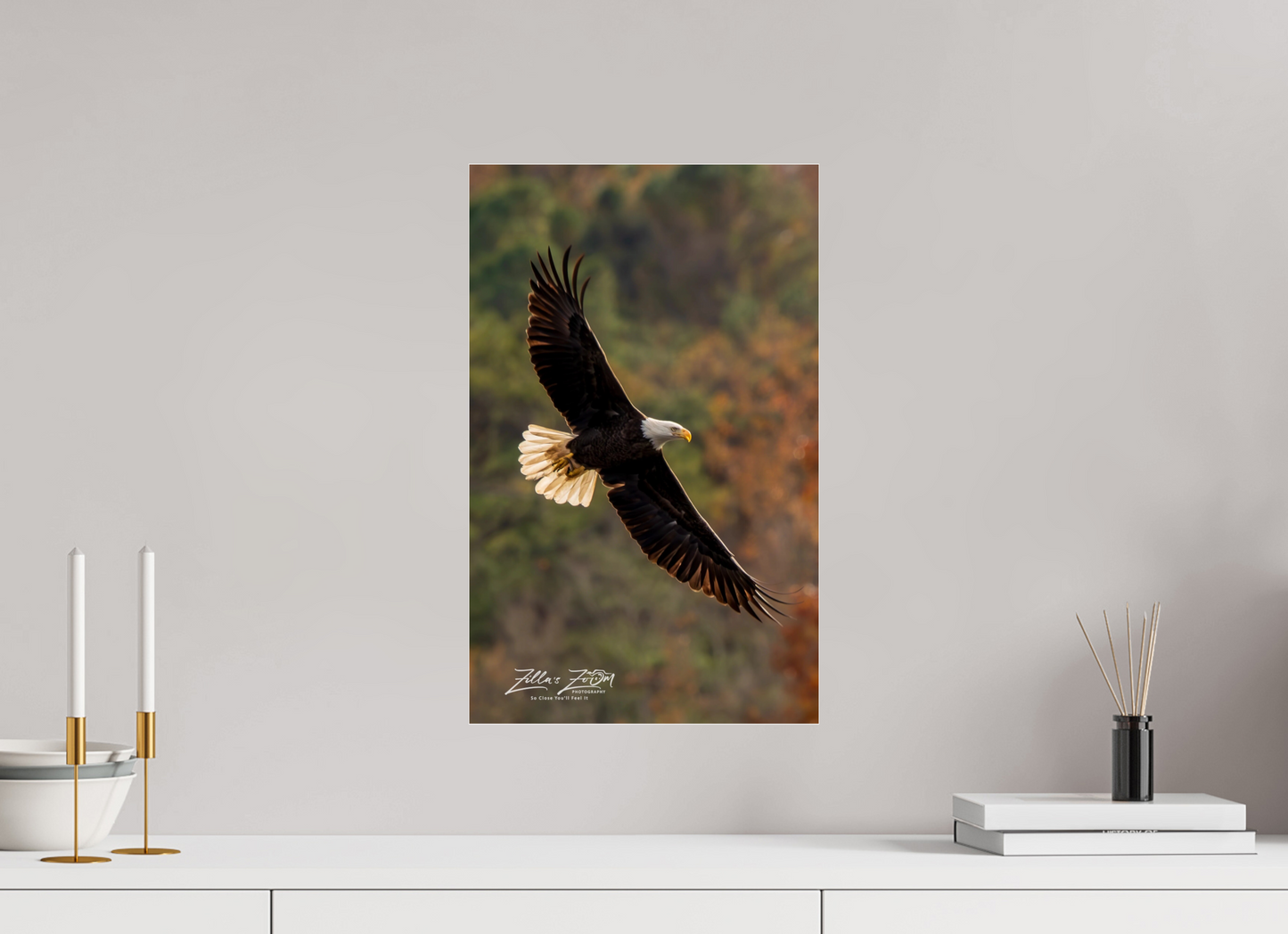 12 x 19.2″, Photo Print Under Acrylic Glass Zillas Zoom Image 417
