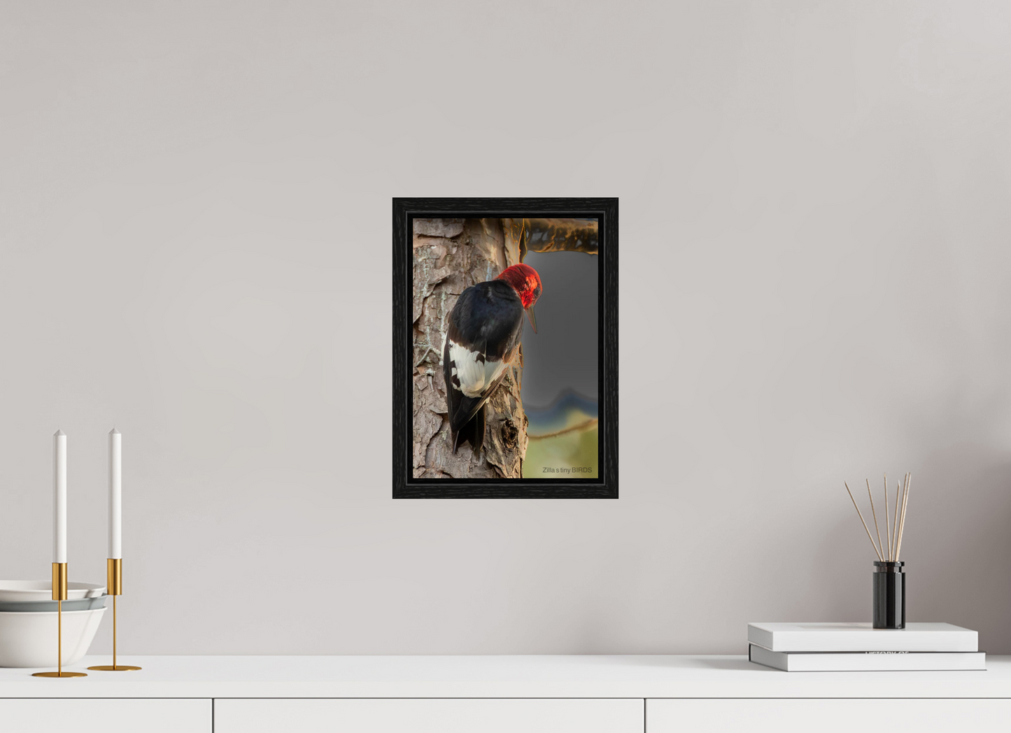 8 x 11.2″, Floater Frame Zillas Zoom Image 502