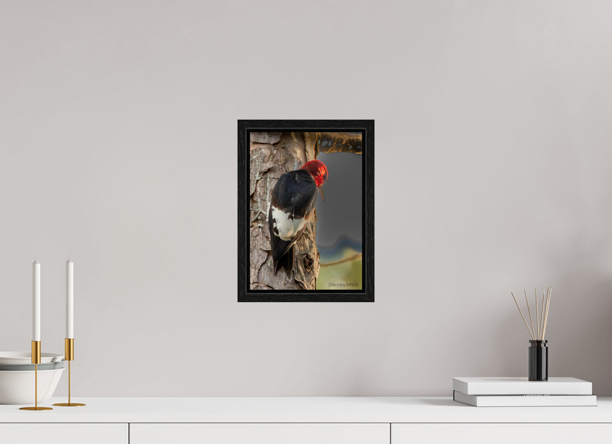 8 x 11.2″, Floater Frame Zillas Zoom Image 502