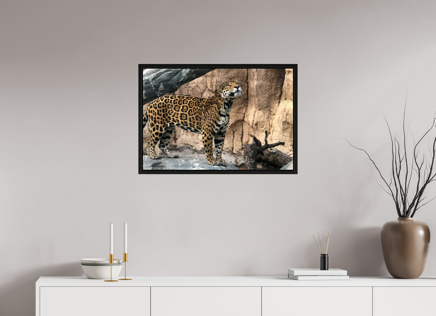 29.6 x 20″, Floater Frame Zillas zoom image 138