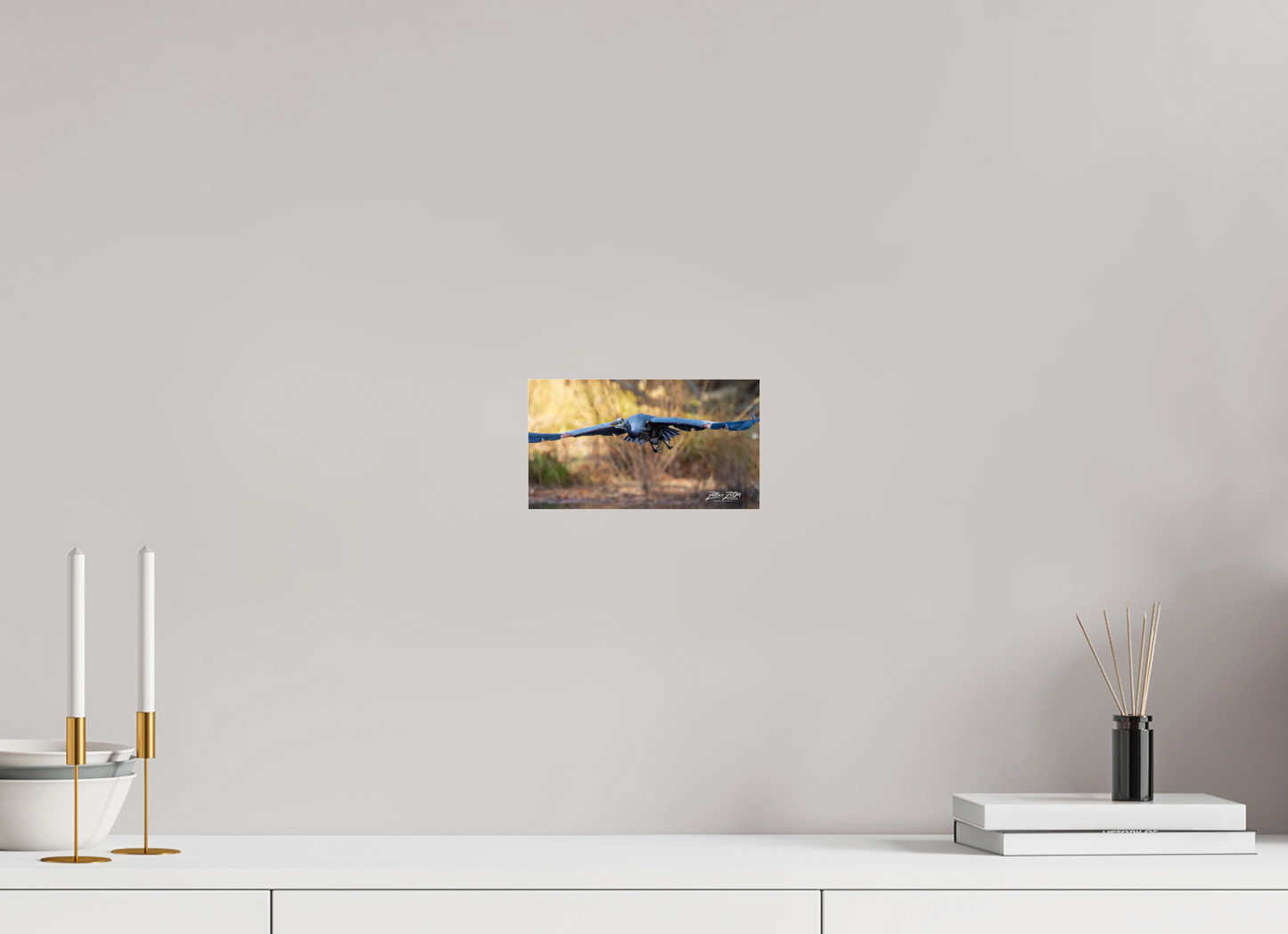 8 x 4.5″, Photo Print Under Acrylic Glass Zillas Zoom Image 296