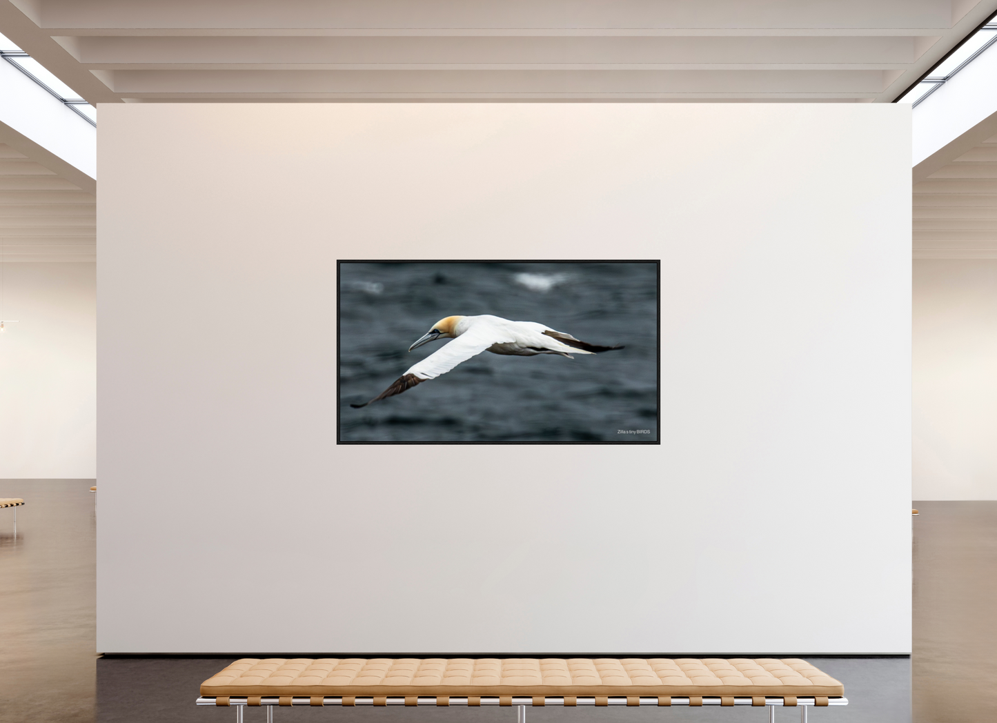 80 x 45″, Floater Frame Zillas Zoom Image 324