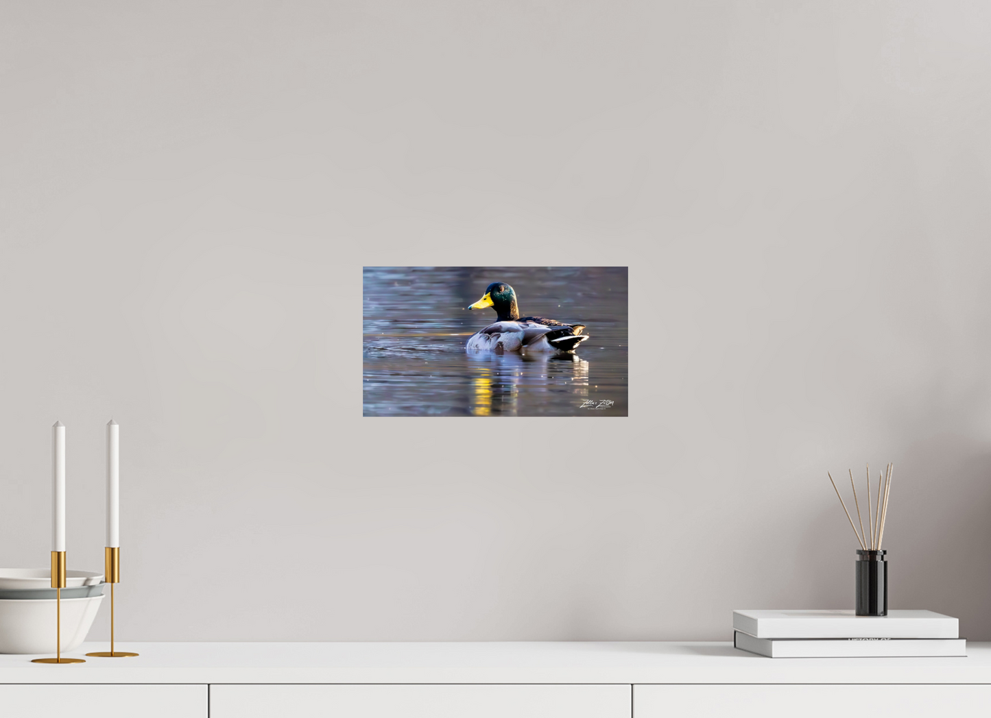 12 x 6.8″, Photo Print On Fuji Crystal DP II Zillas Zoom Image 334