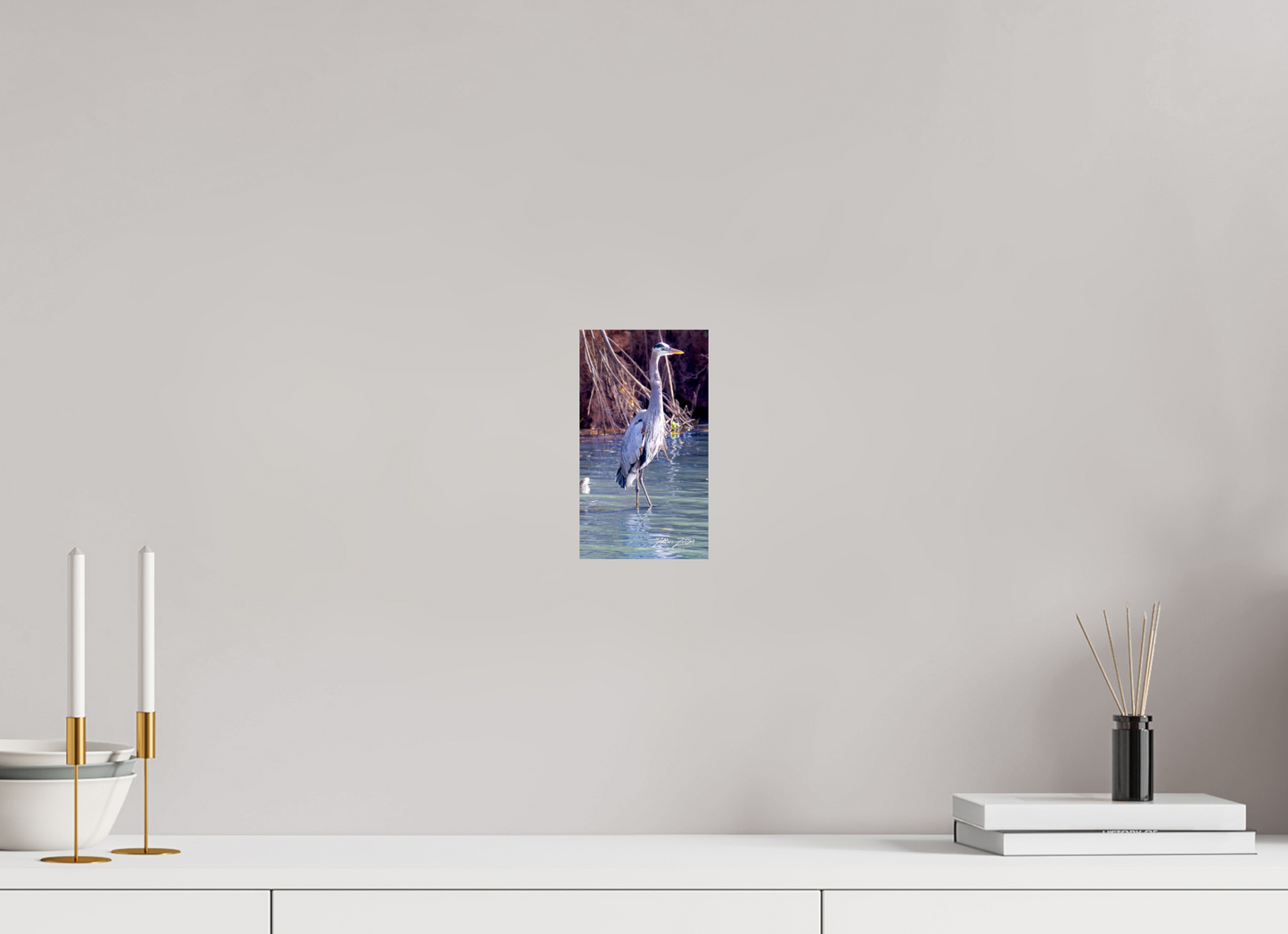 4.5 x 8″, Photo Print On Fuji Crystal DP II Zillas Zoom Image 429