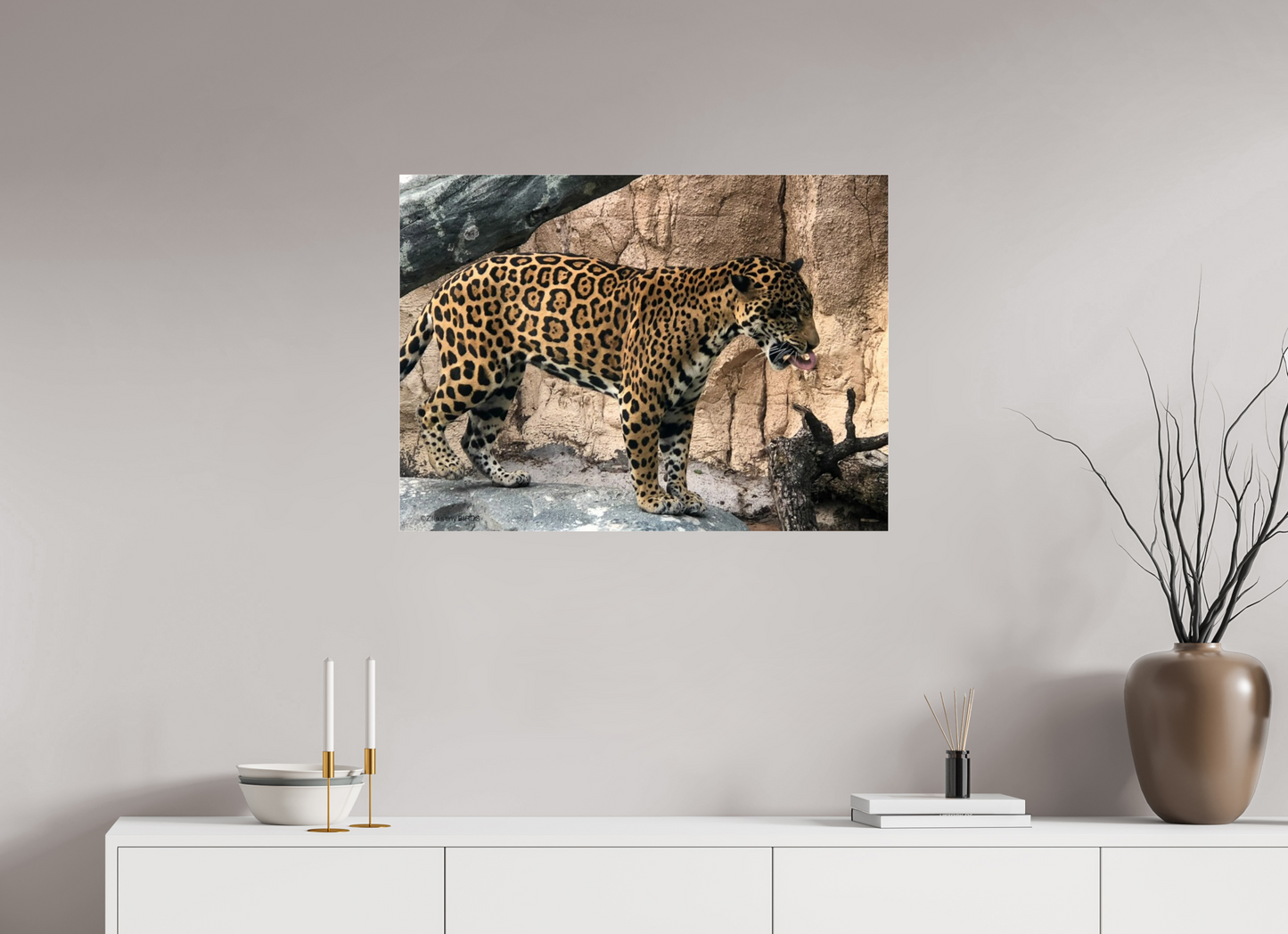 32.9 x 24″, Photo Print Under Acrylic Glass Zillas zoom image 137