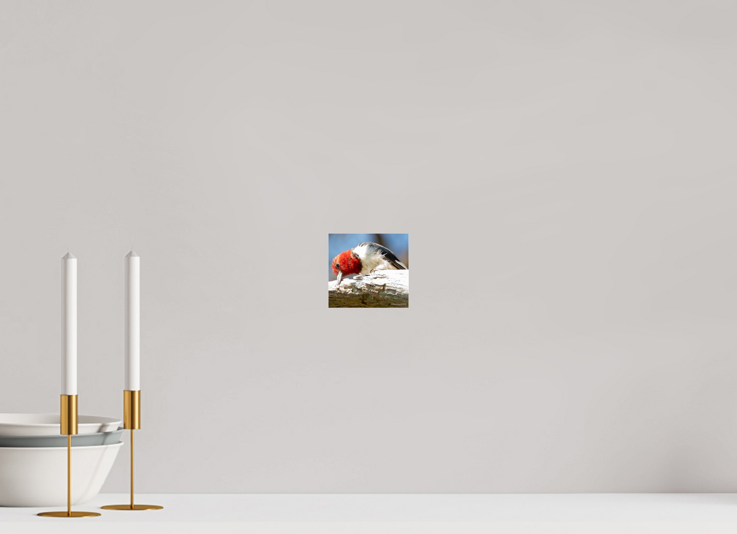 4.3 x 4″, Photo Print Under Acrylic Glass Zillas Zoom Image 270