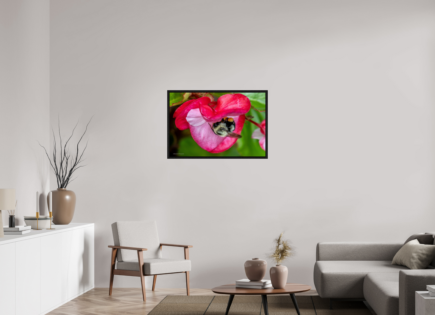 36 x 24″, Floater Frame Zillas Zoom Image 101