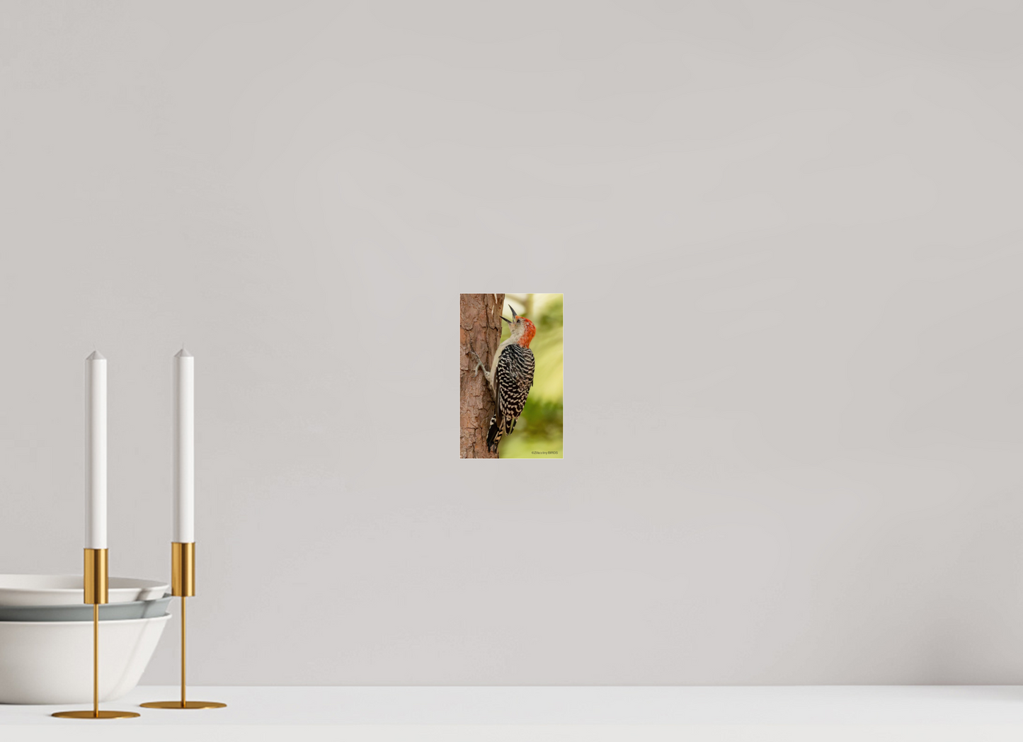 4 x 6.4″, Photo Print Under Acrylic Glass Zillas Zoom Image 459