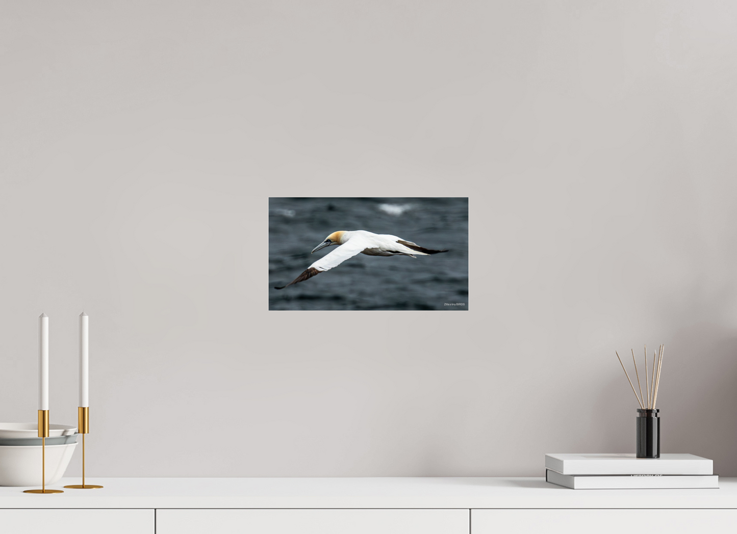 12 x 6.8″, Photo Print Under Acrylic Glass Zillas Zoom Image 324