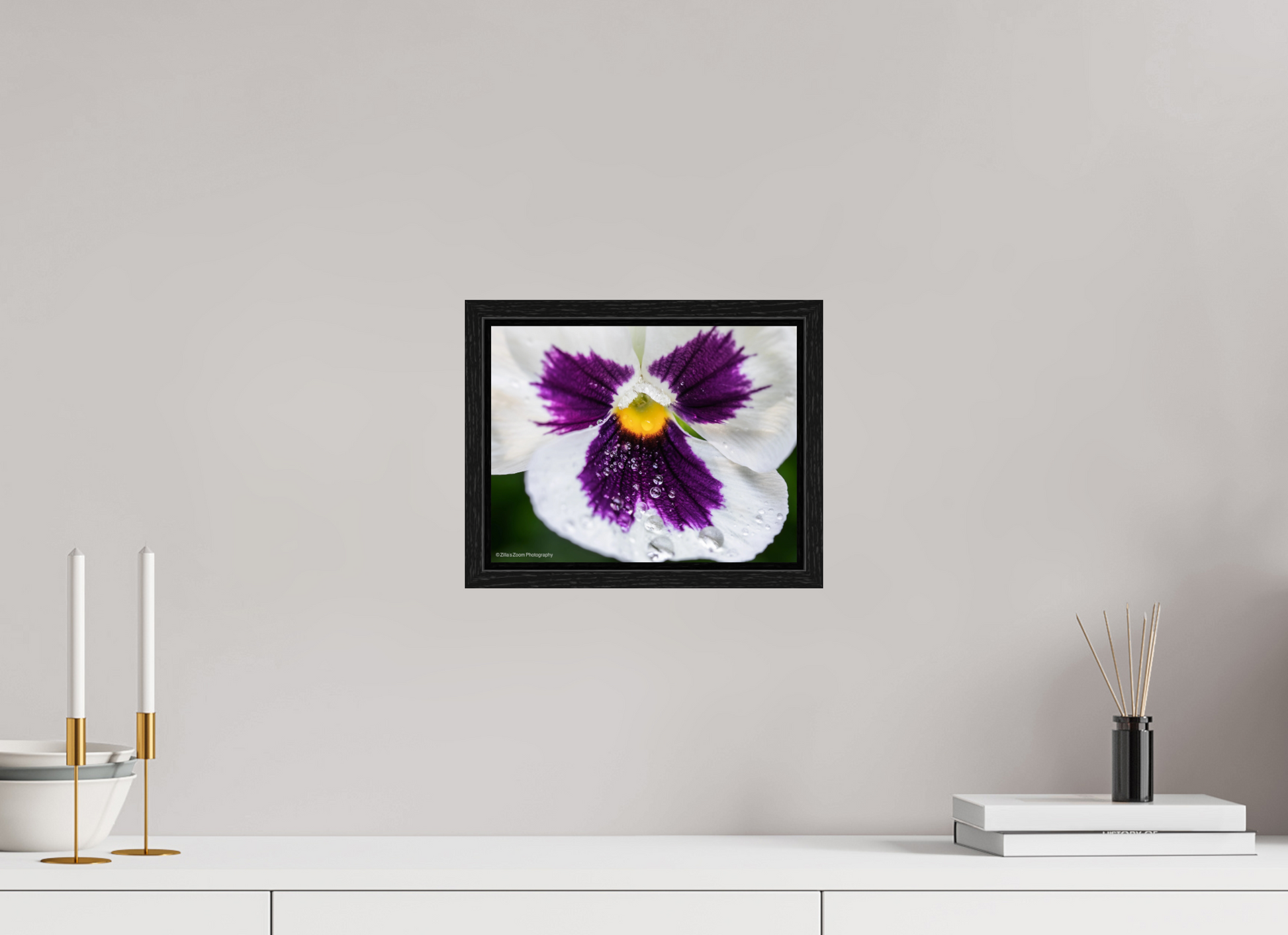 10.4 x 8″, Floater Frame Zillas Zoom Image 98