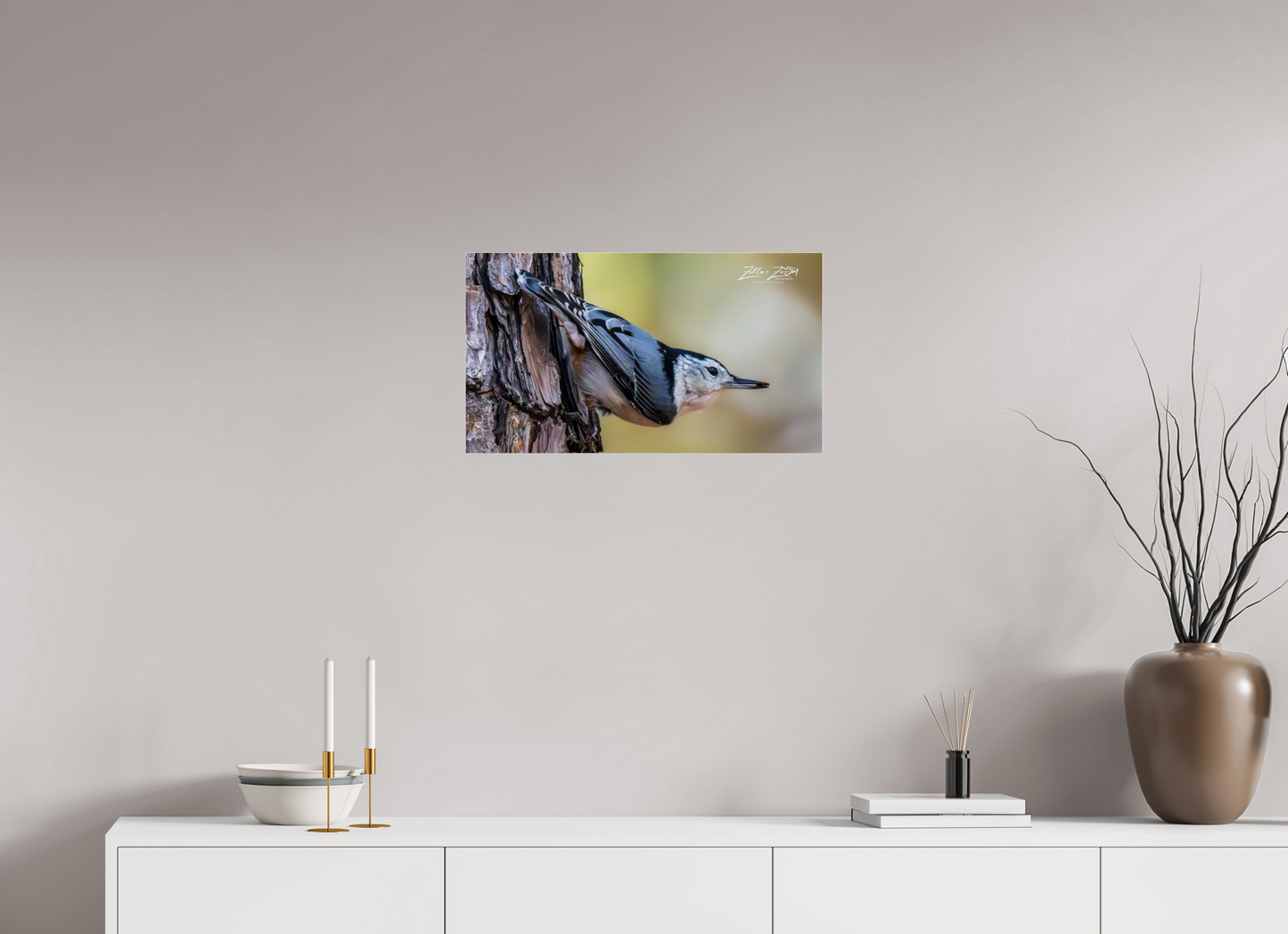24 x 13.5″, Photo Print Under Acrylic Glass Zillas Zoom Image 326