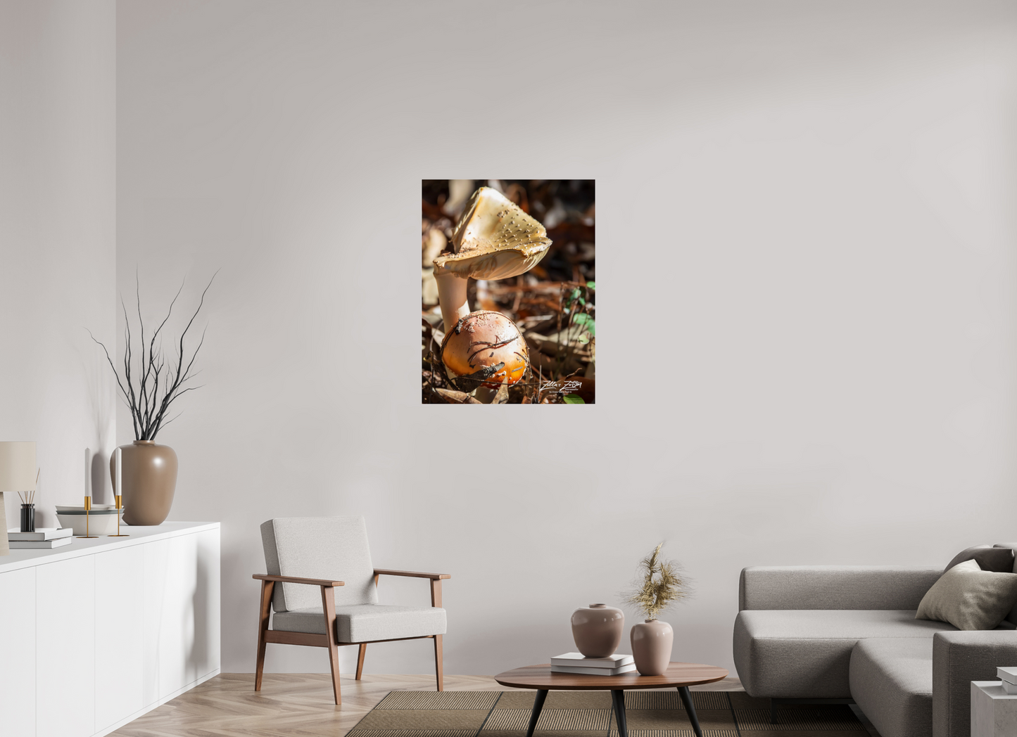 28 x 36.2″, Photo Print Under Acrylic Glass Zillas Zoom Image 116