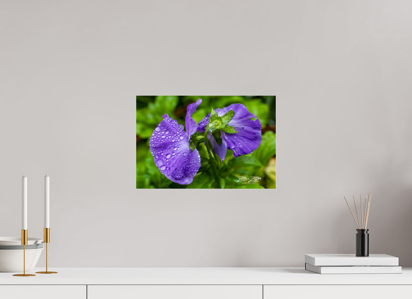 15 x 10″, Photo Print Under Acrylic Glass Zillas Zoom Image 93