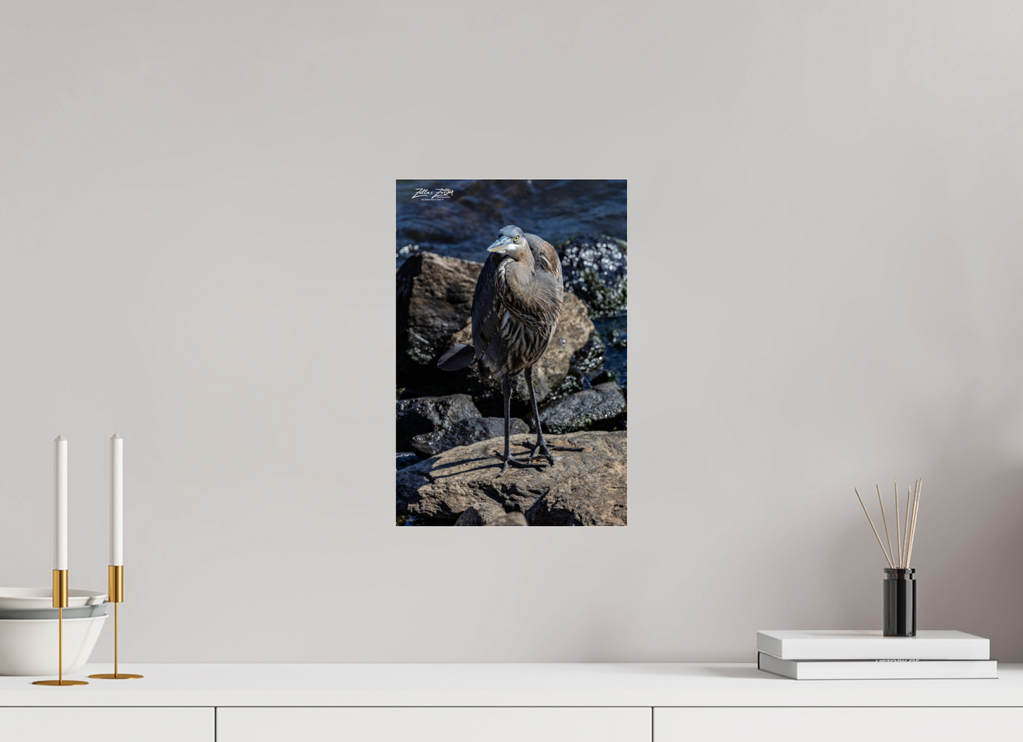 10 x 15″, Photo Print Under Acrylic Glass Zillas Zoom Image 449