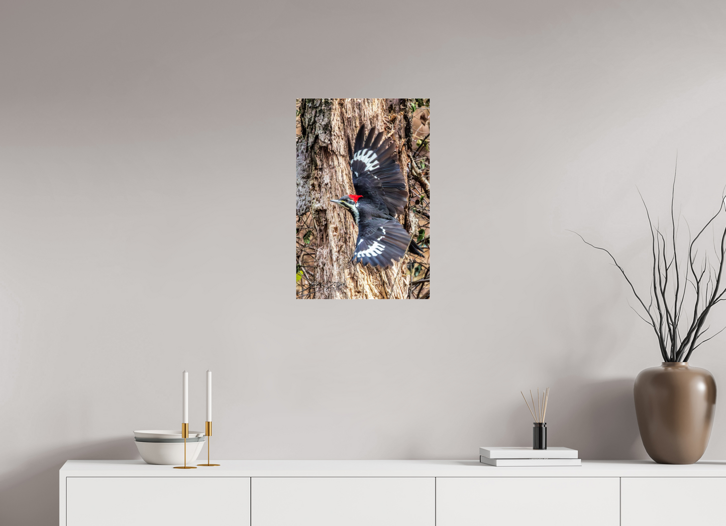 16 x 24″, Photo Print Under Acrylic Glass Zillas Zoom Image 418