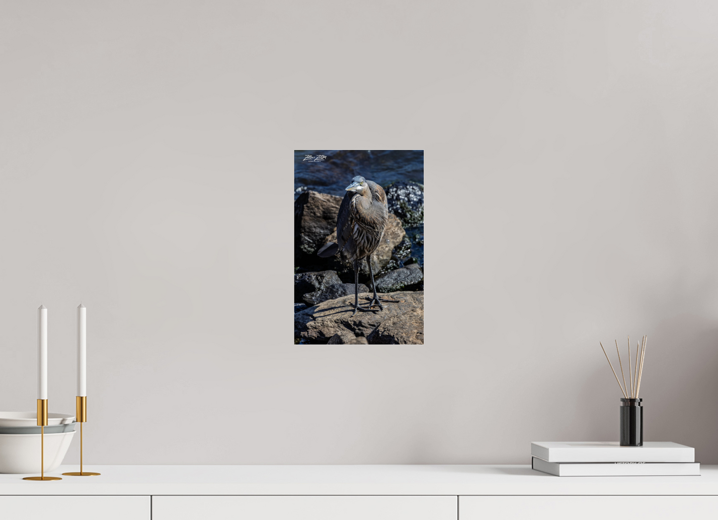 8 x 12″, Photo Print Under Acrylic Glass Zillas Zoom Image 449