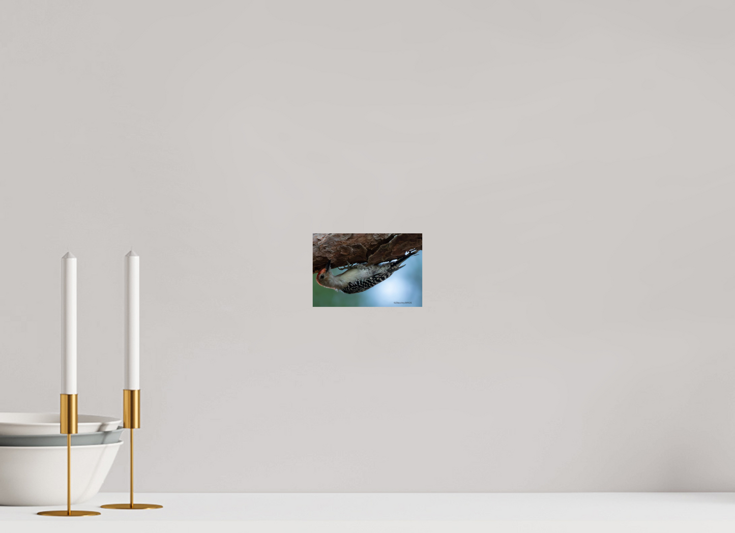 6 x 4″, Photo Print On Fuji Crystal DP II Zillas Zoom Image 319