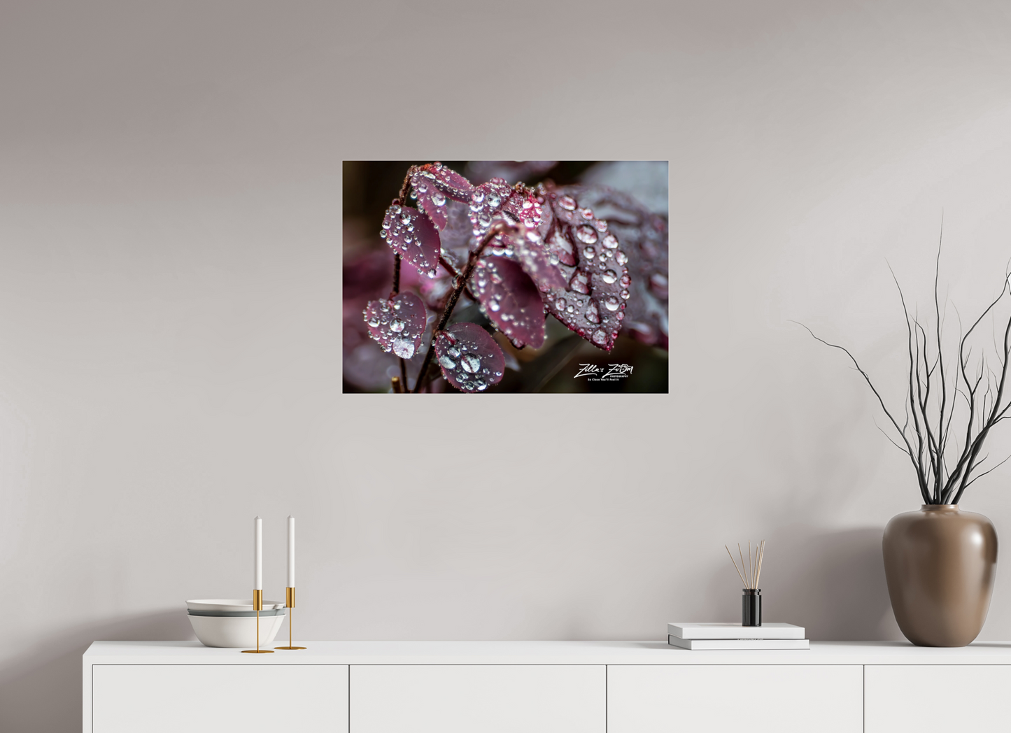 28 x 20″, Photo Print Under Acrylic Glass Zillas Zoom Image 100