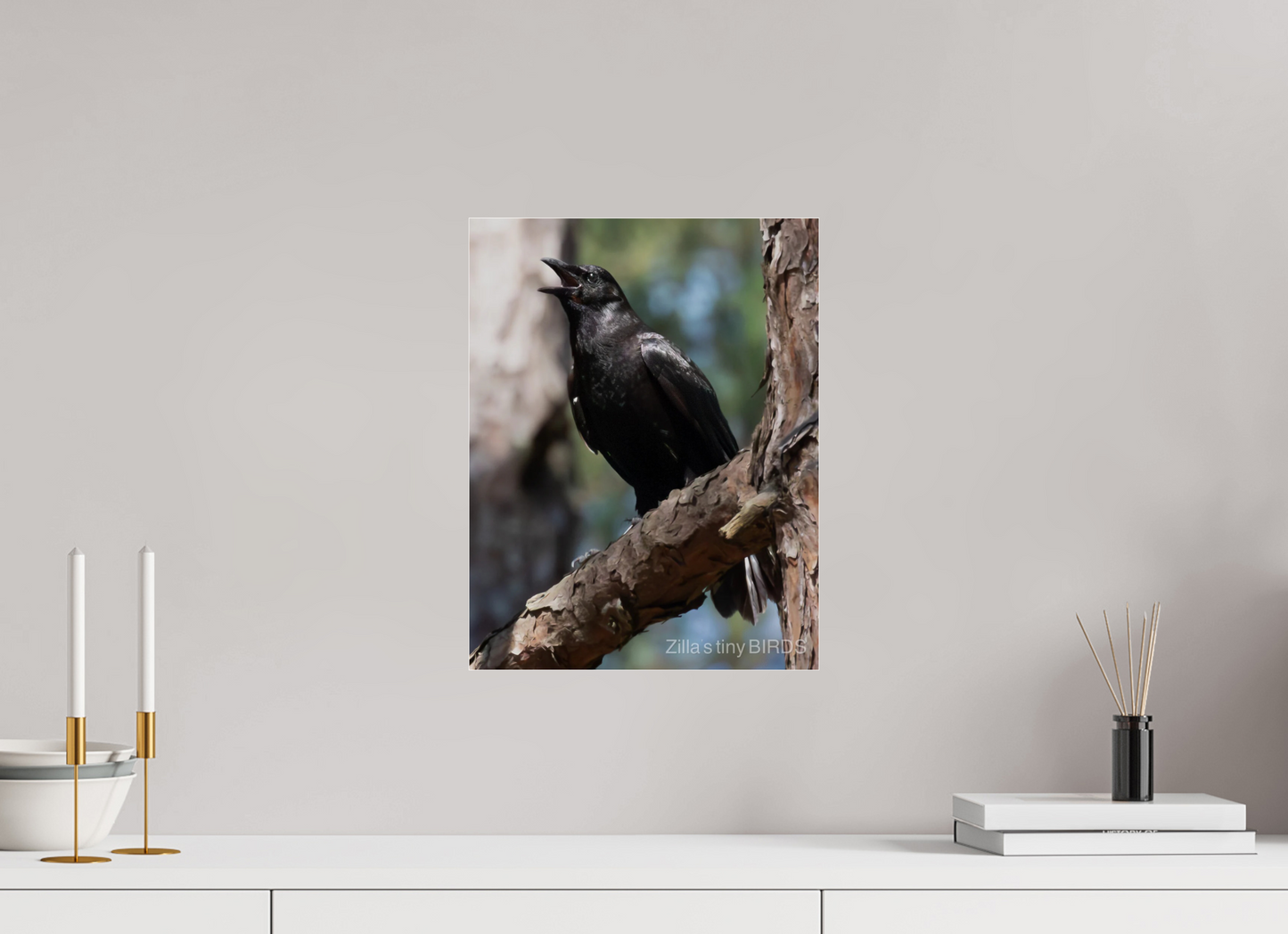12 x 15.5″, Photo Print Under Acrylic Glass Zillas Zoom Image 498