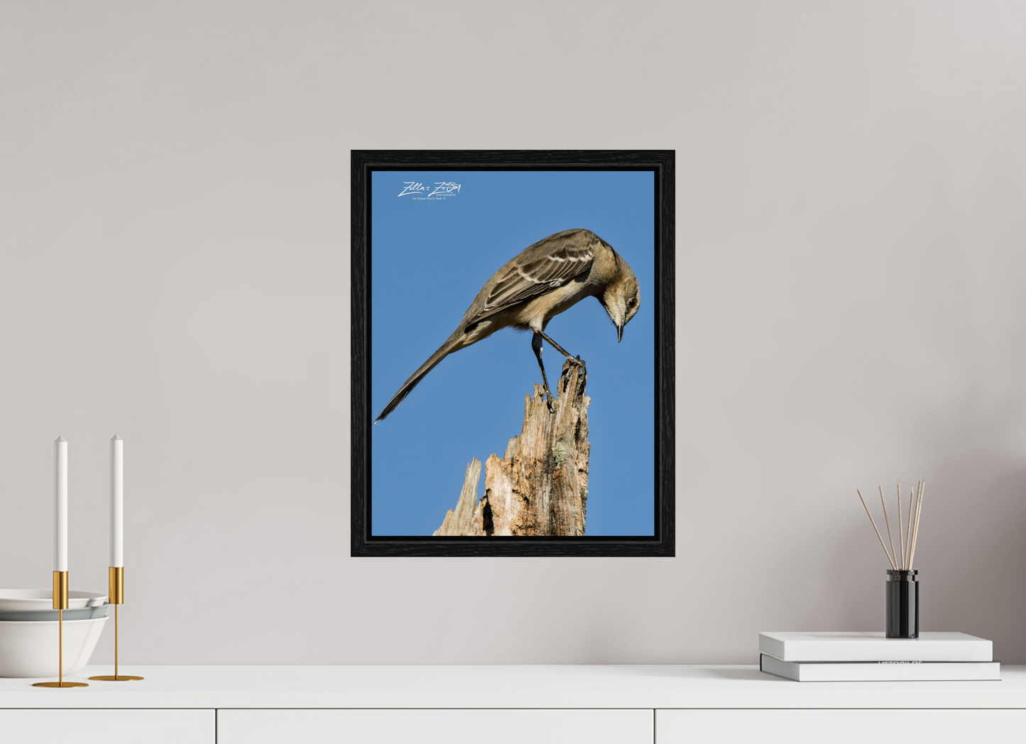 12 x 15.5″, Floater Frame Zillas Zoom Image 410