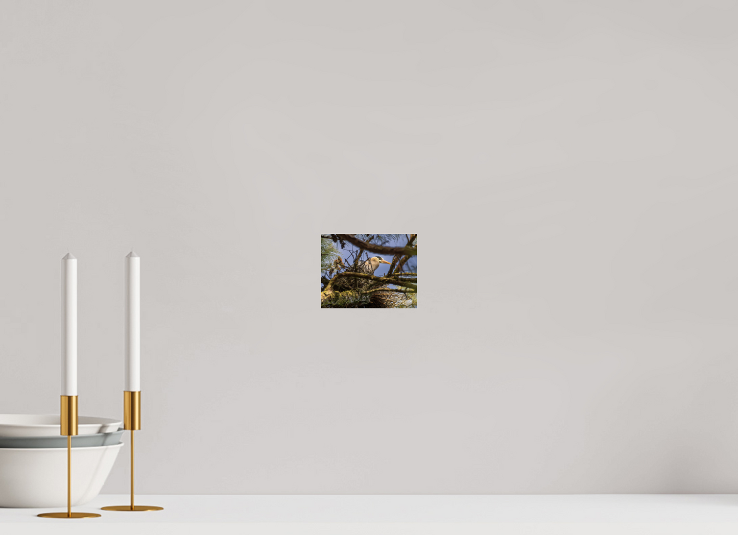 5.2 x 4″, Photo Print Under Acrylic Glass Zillas Zoom Image 361
