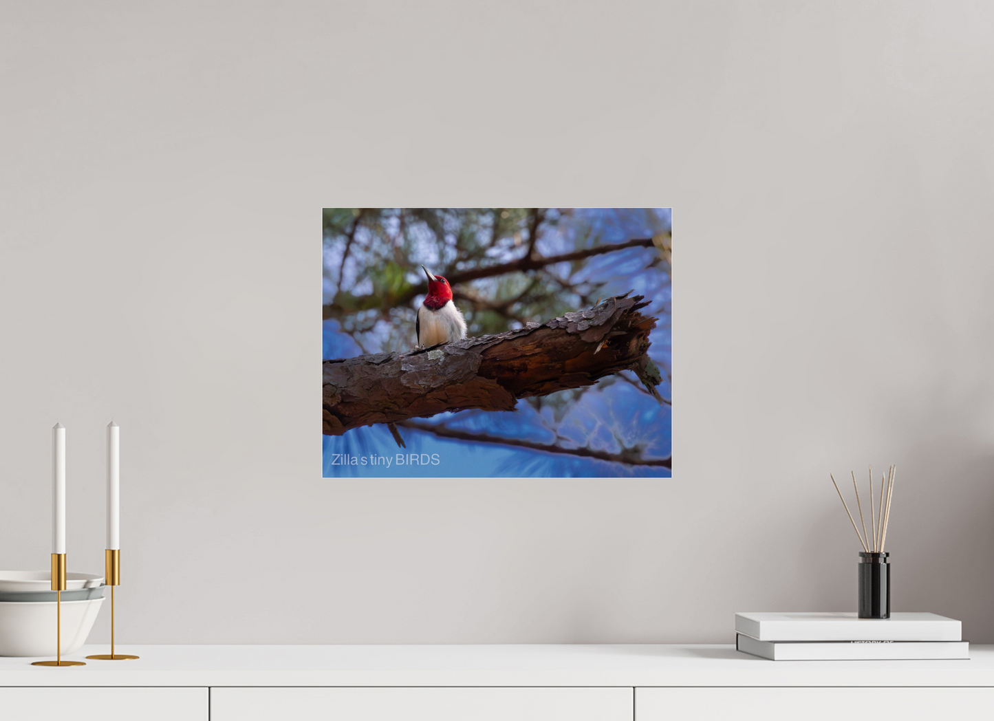 15.6 x 12″, Photo Print Under Acrylic Glass Zillas Zoom Image 375