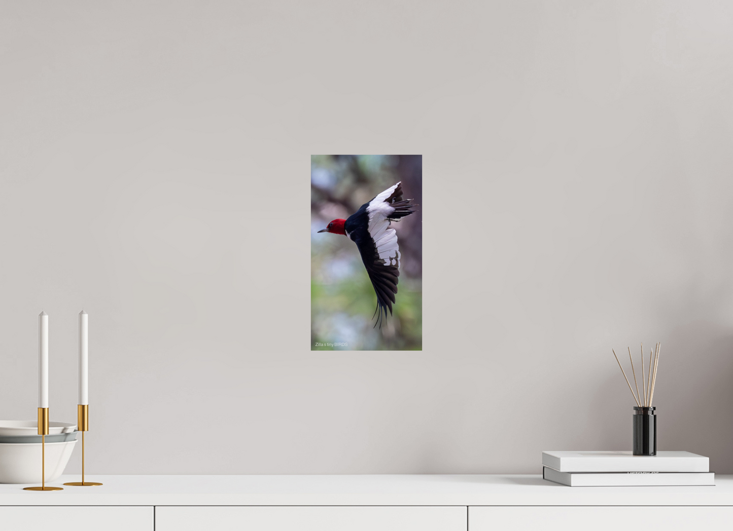 6.8 x 12″, Photo Print On Fuji Crystal DP II Zillas Zoom Image 482