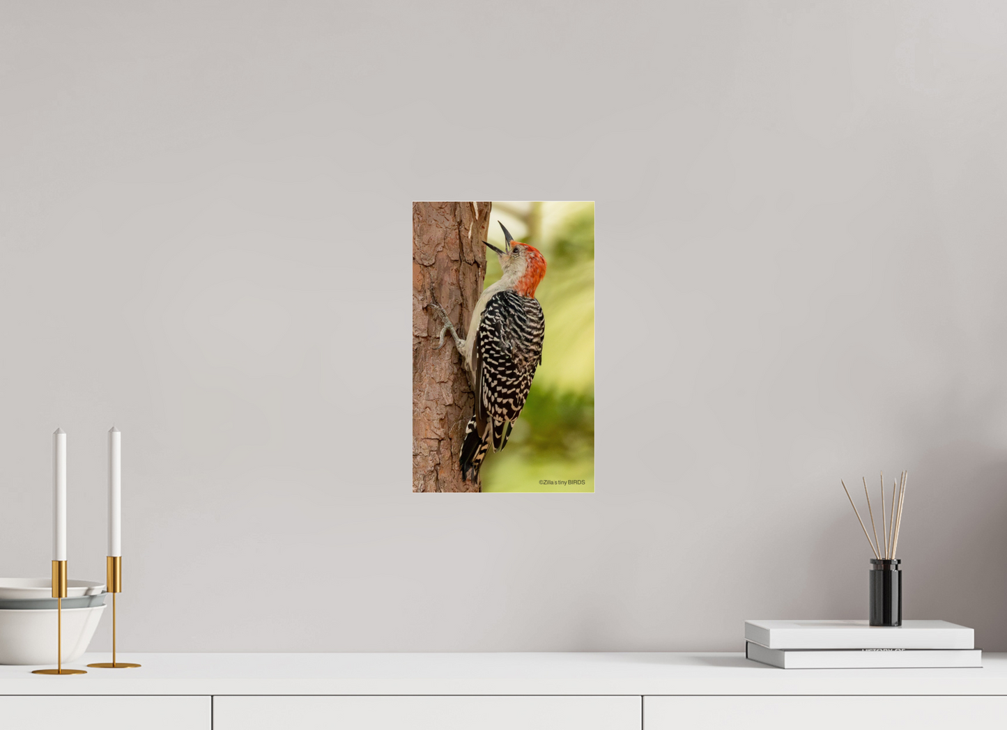 8 x 12.8″, Photo Print Under Acrylic Glass Zillas Zoom Image 459