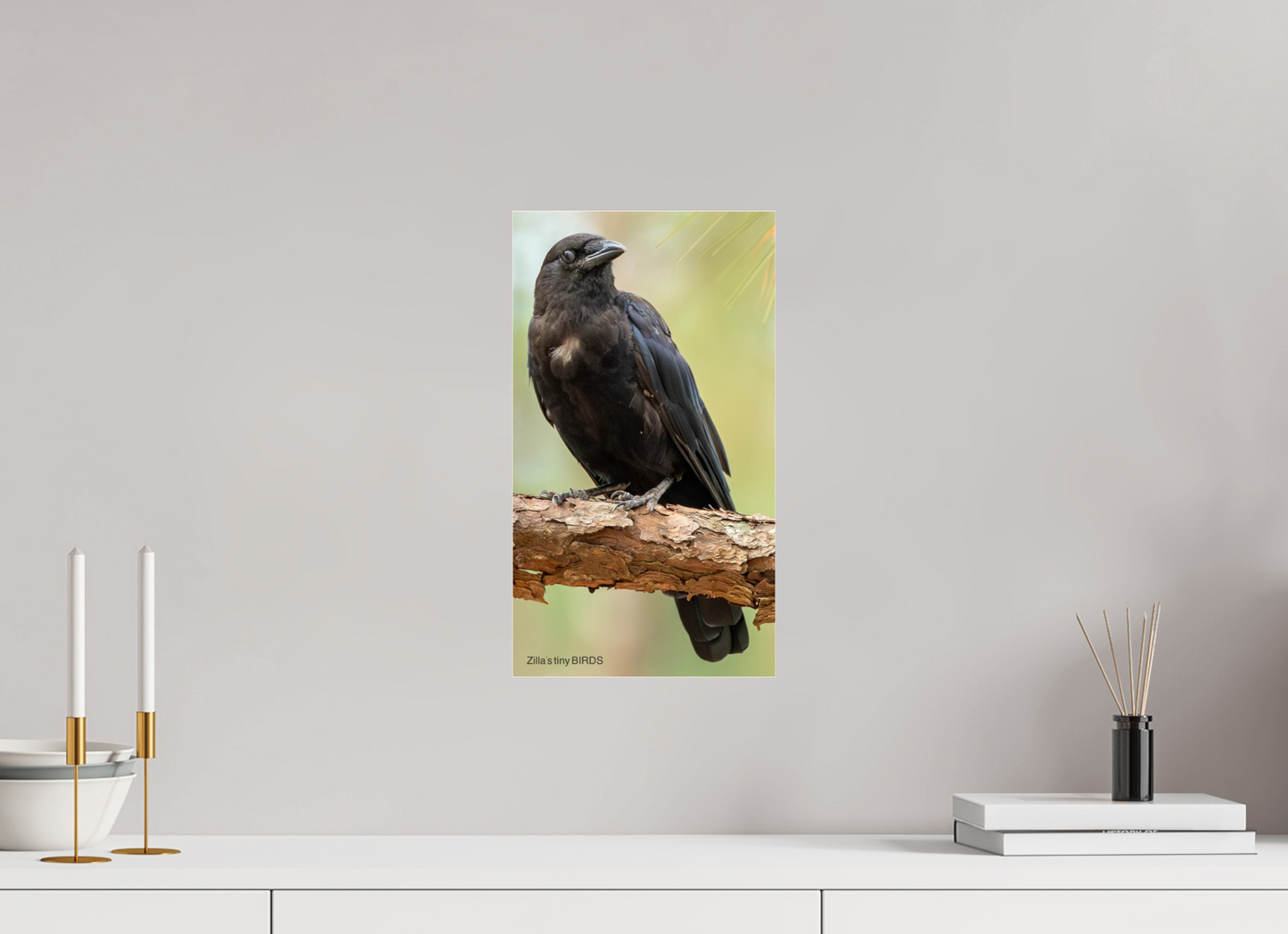 9 x 16″, Photo Print Under Acrylic Glass Zillas Zoom Image 479