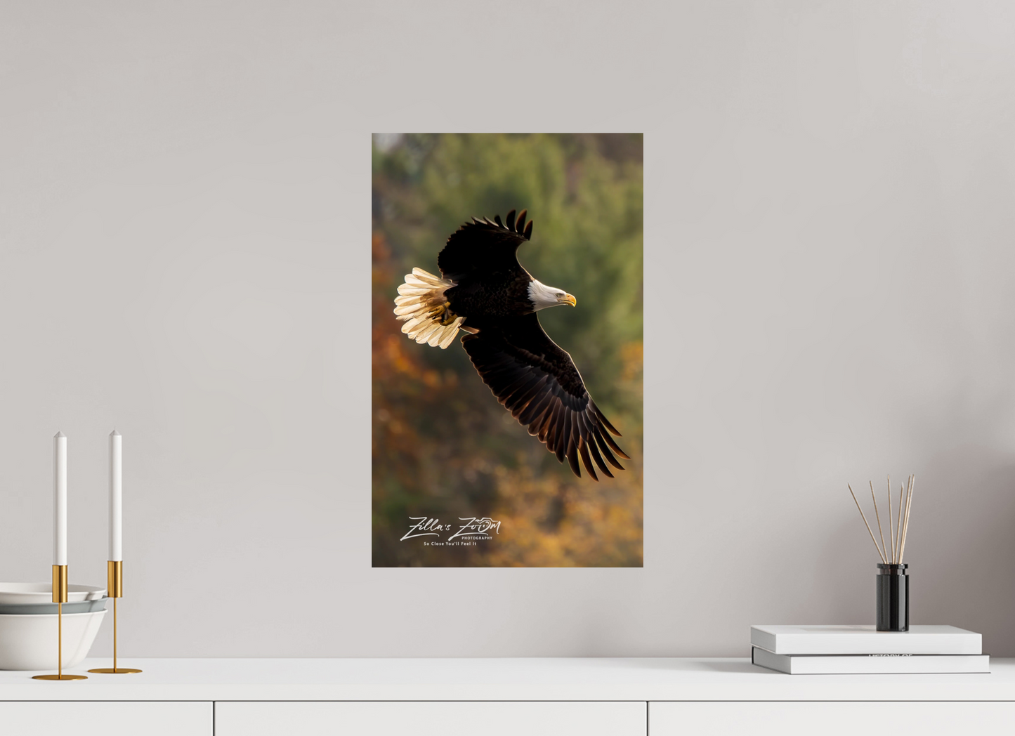 12 x 19.2″, Photo Print On Fuji Crystal DP II Zillas Zoom Image 416