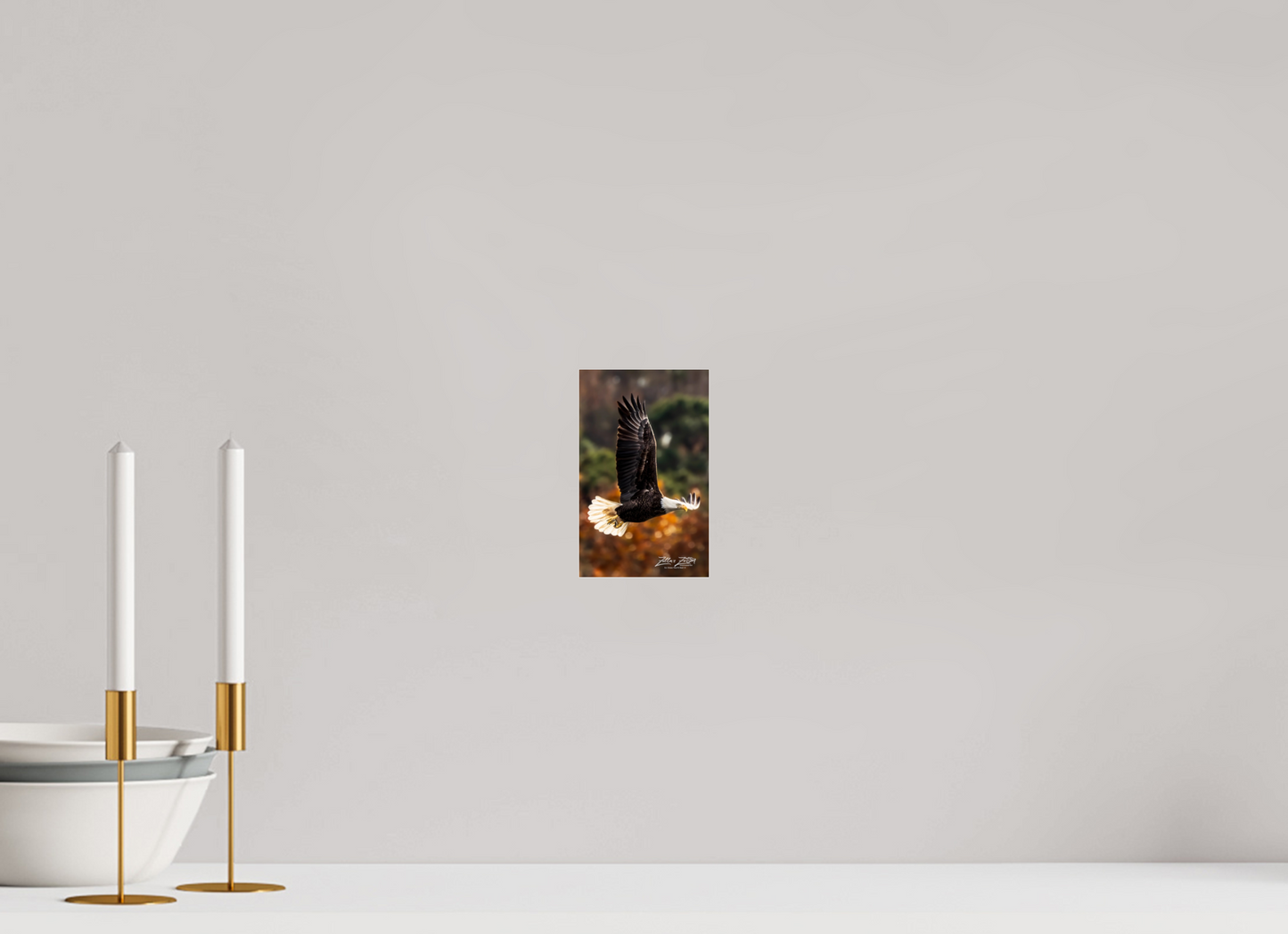 4 x 6.4″, Photo Print Under Acrylic Glass Zillas Zoom Image 415