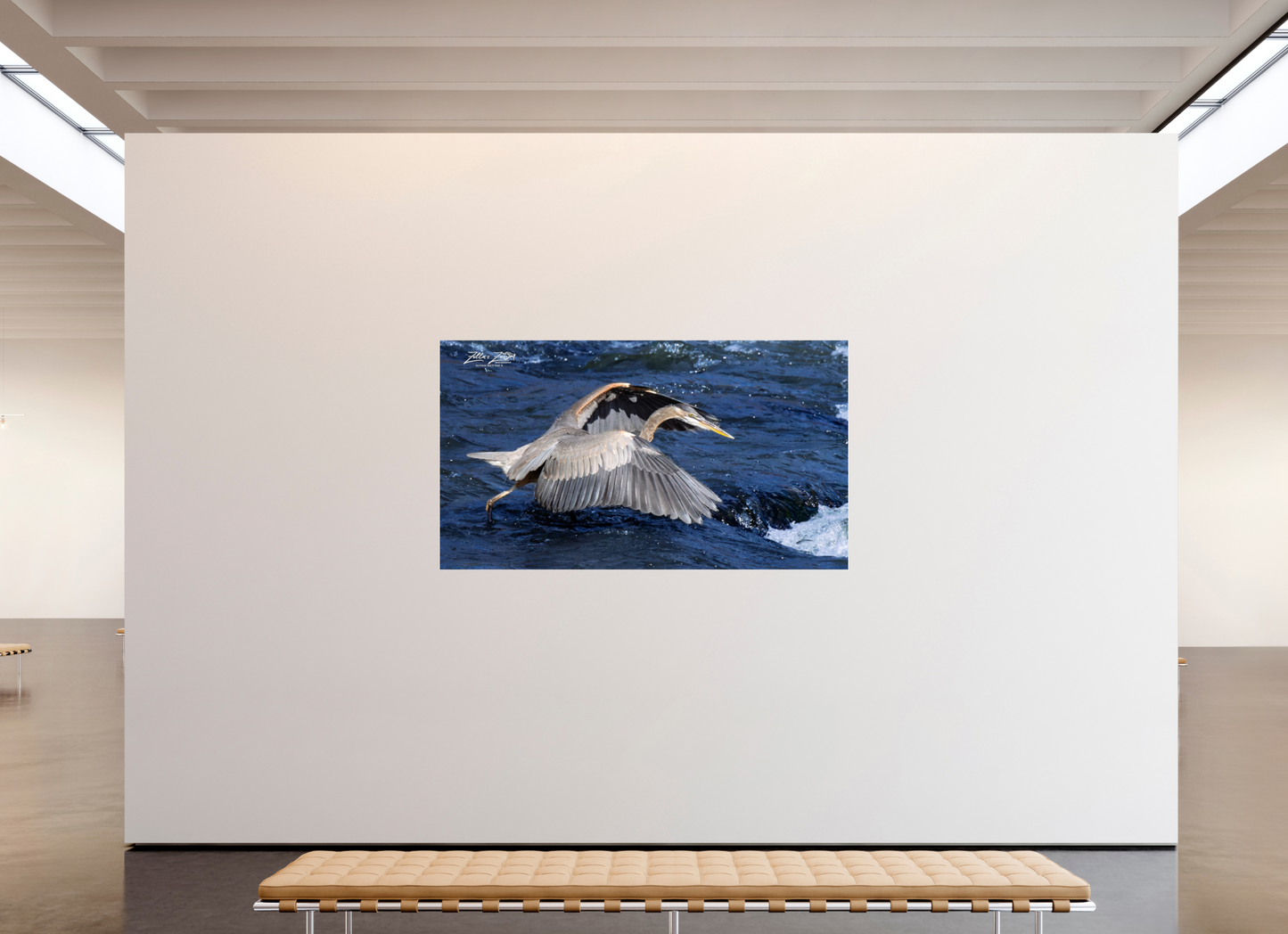 80 x 45″, Photo Print Under Acrylic Glass Zillas Zoom Image 286
